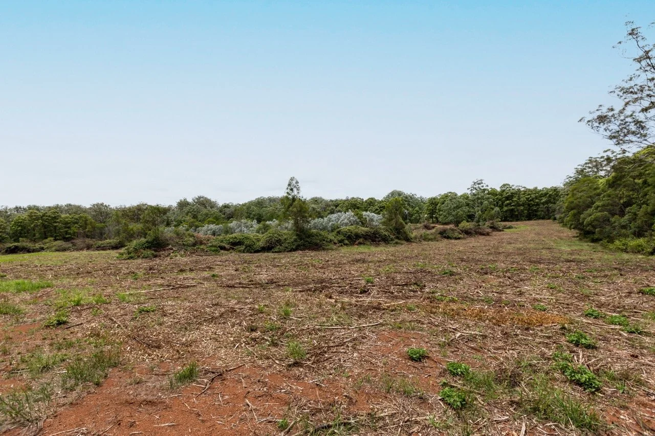 Jack van Tricht -109 Large.jpeg