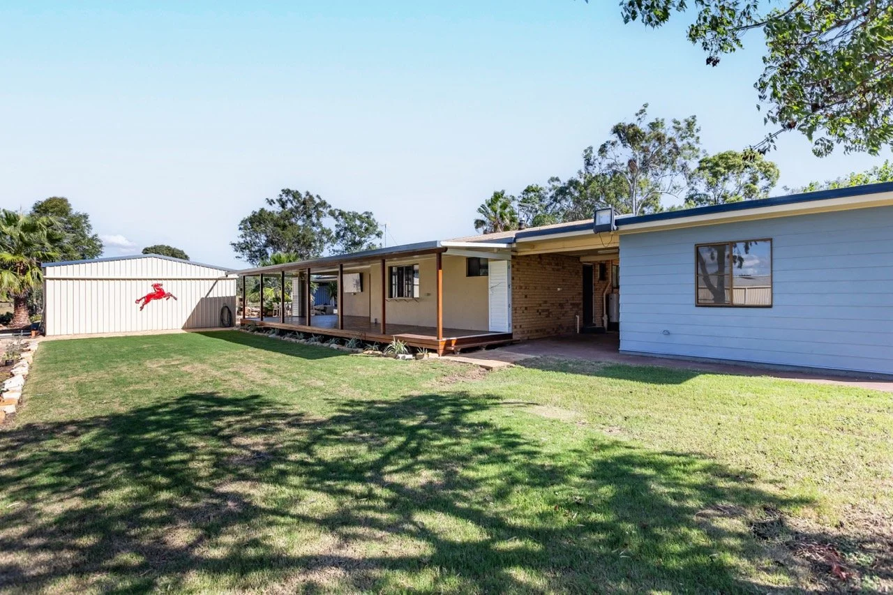 Jack van Tricht -344 Large.jpeg