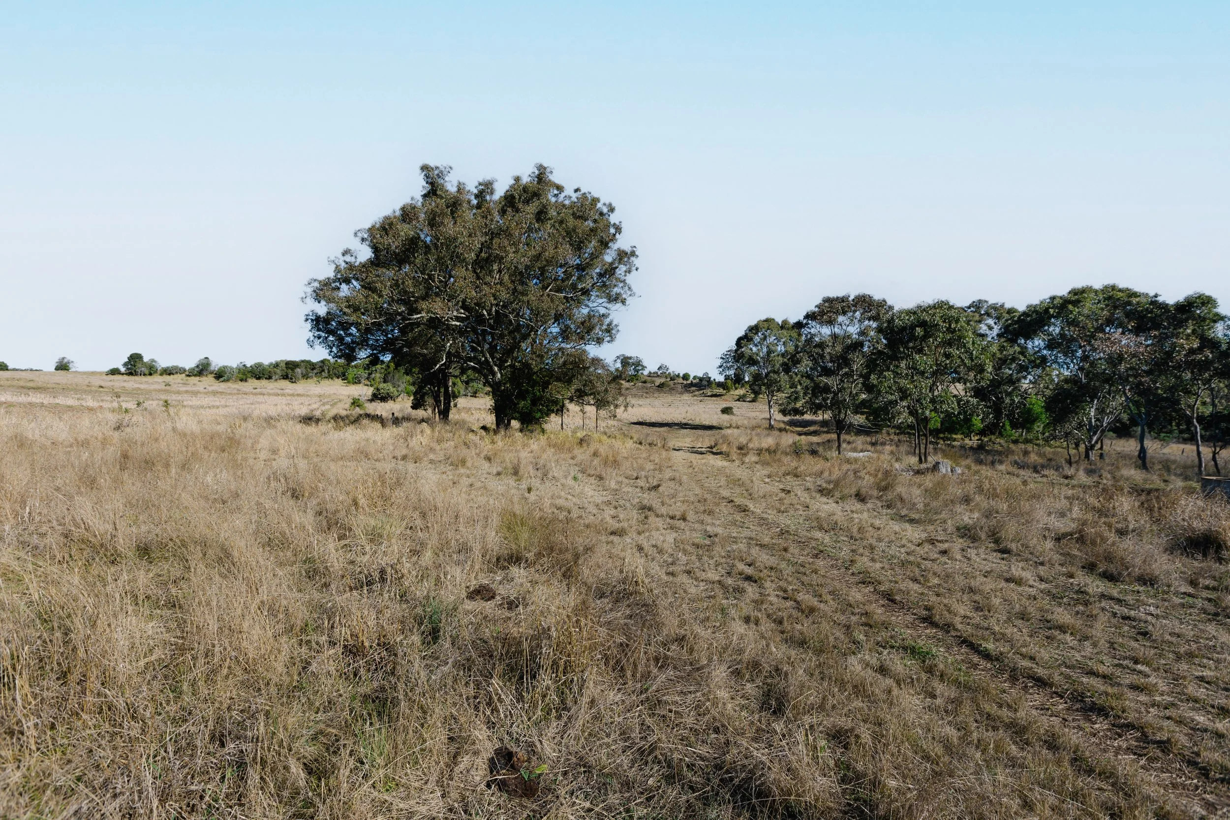 Jack van Tricht -896.jpeg