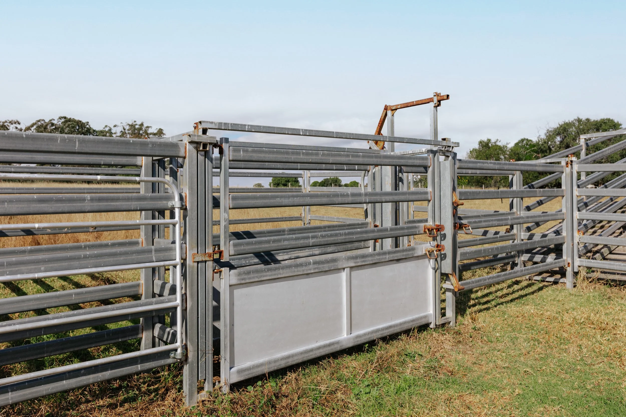 Jack van Tricht -907.jpeg