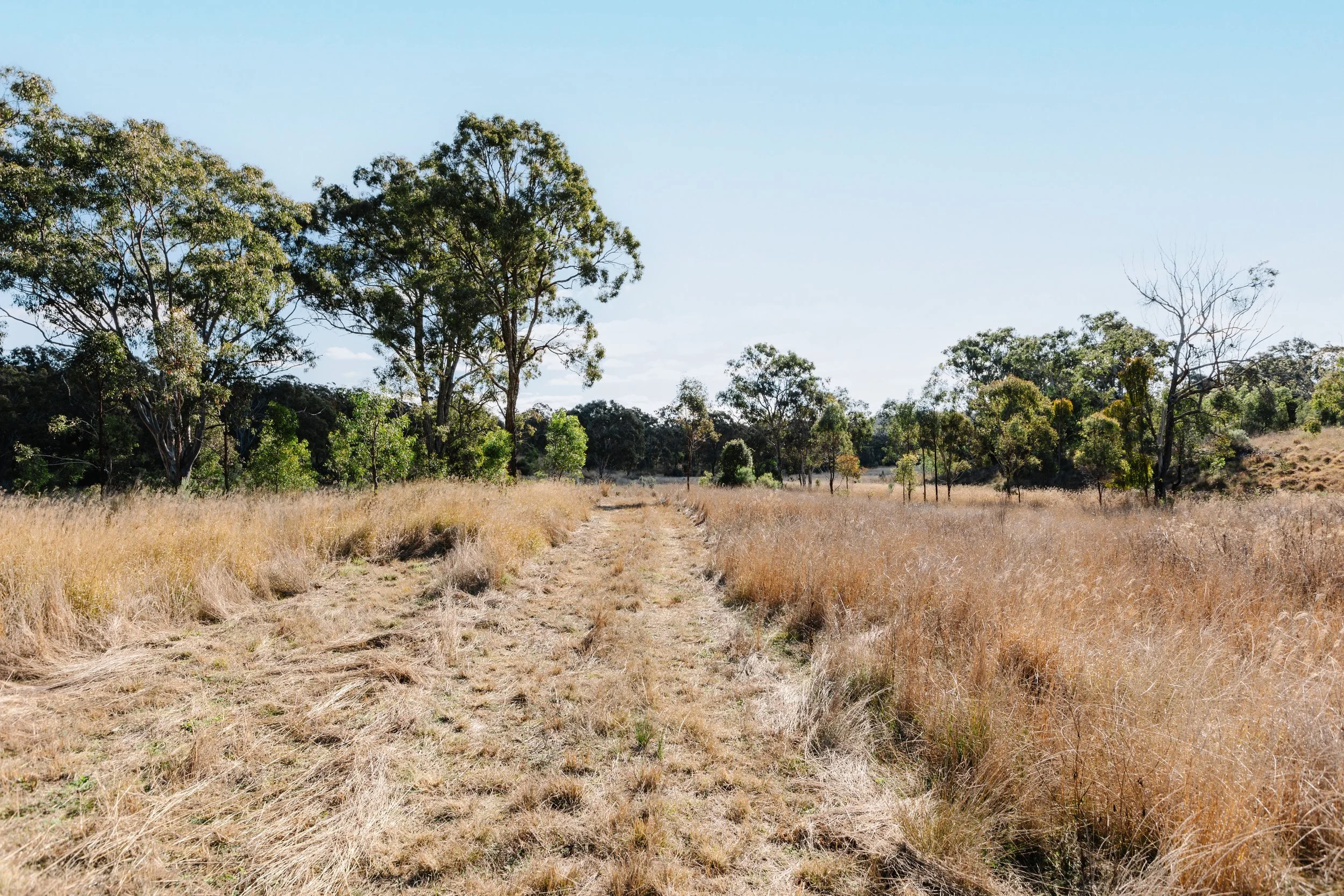 Jack van Tricht -897.jpeg