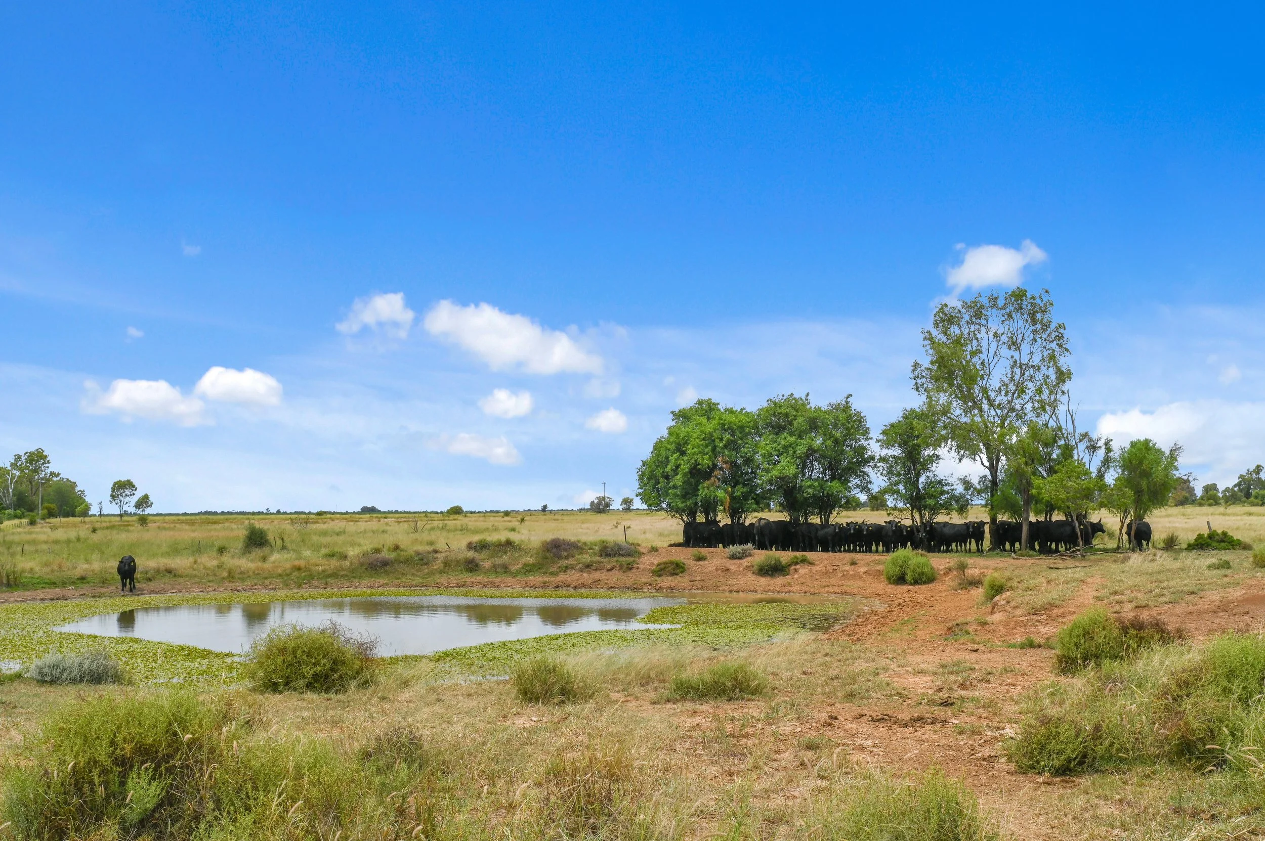 312 Acres - 4 & 16 Chinchilla-Wondai Rd, Canaga