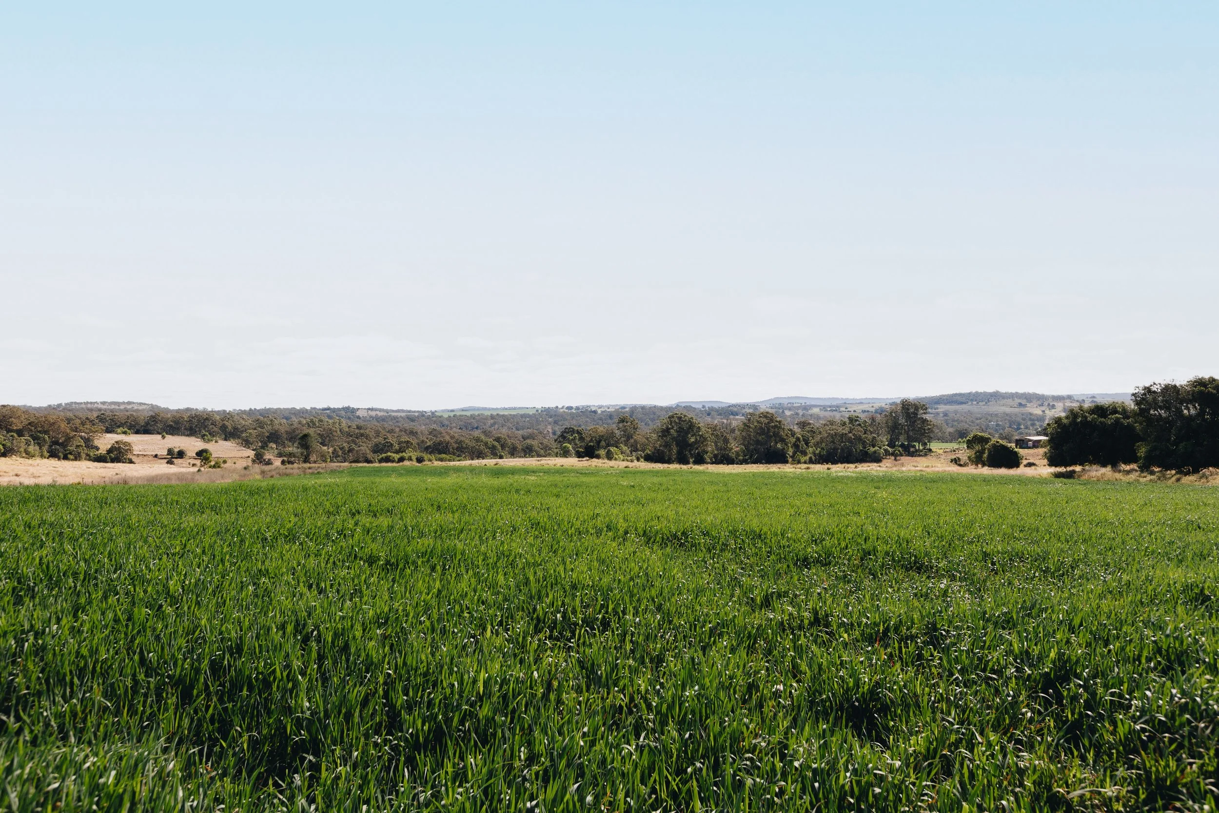 Jack van Tricht -898.jpeg