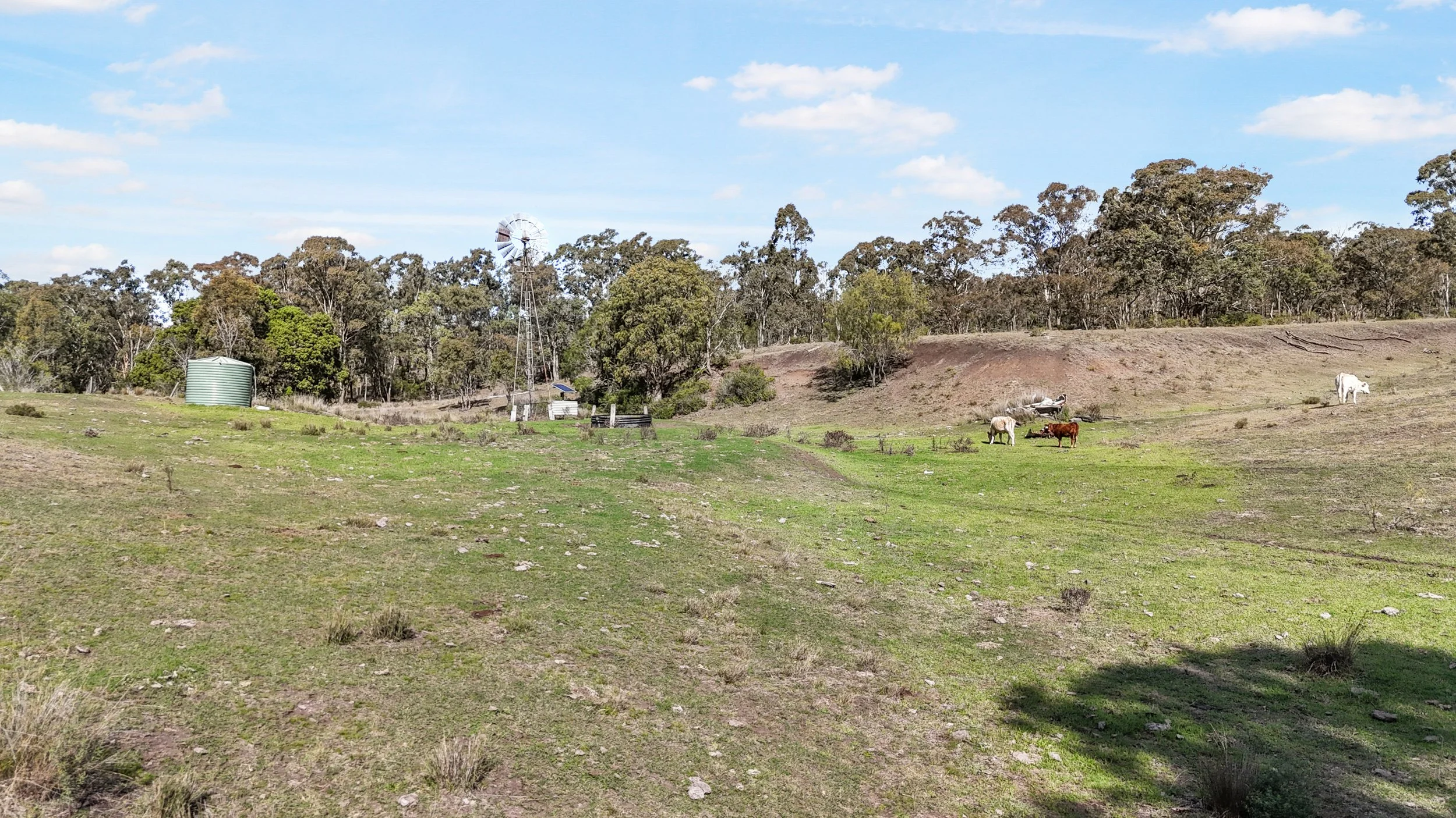 DJI_0101_D.jpg