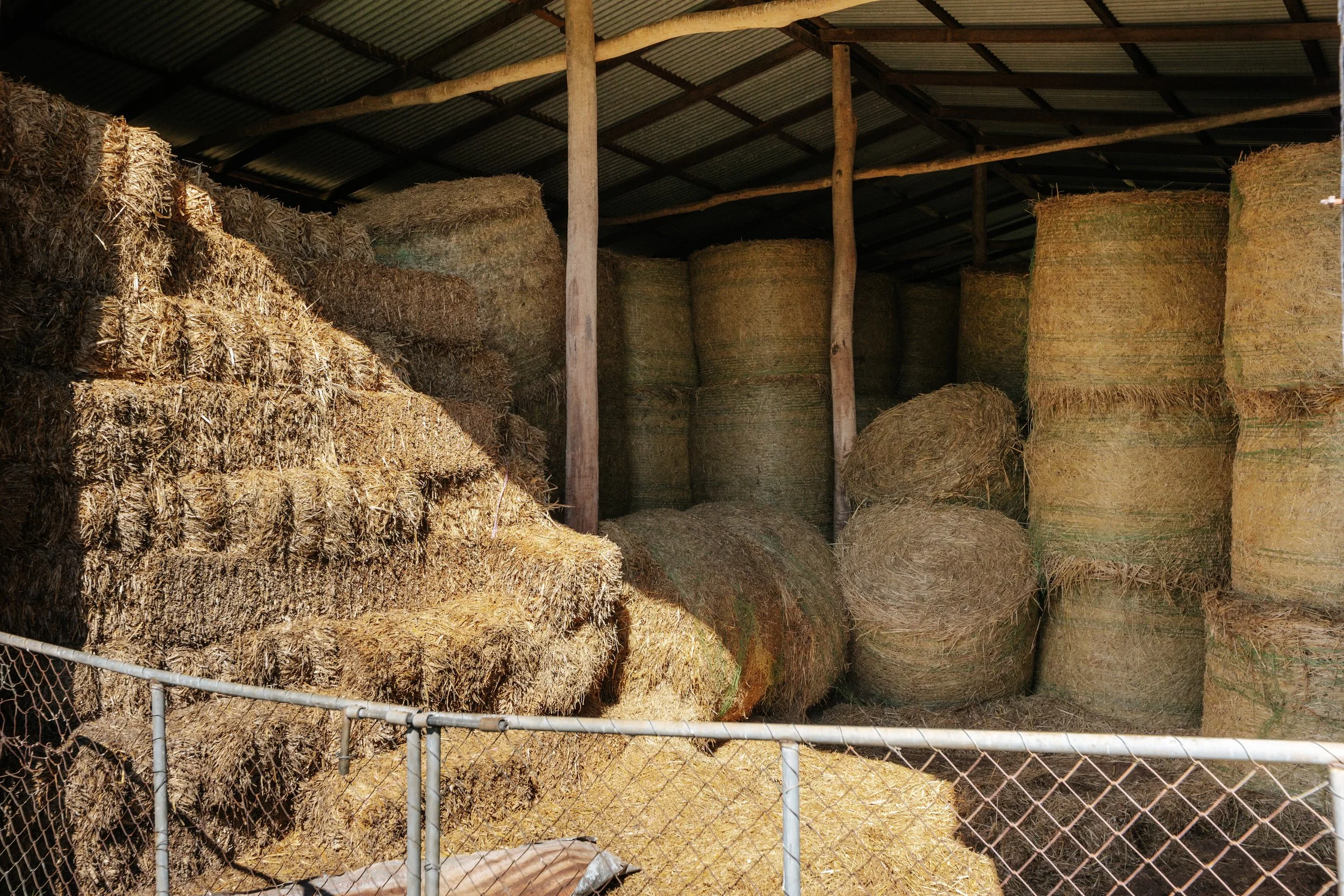 Jack van Tricht -902.jpeg