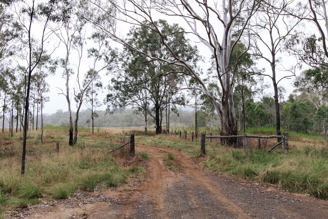 Jack van Tricht -352 Large.jpeg