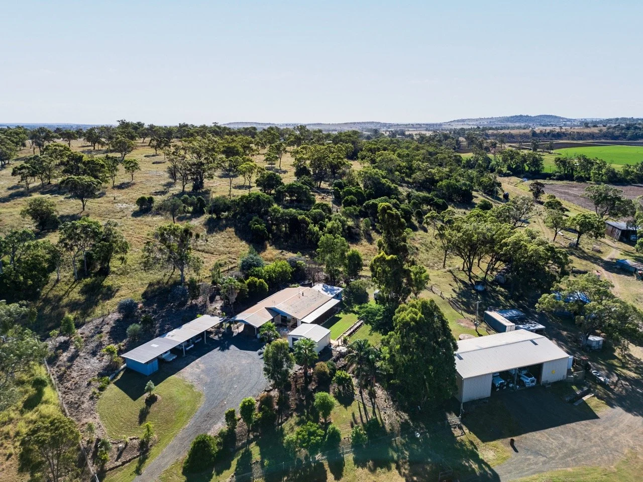 Jack van Tricht -371 Large.jpeg