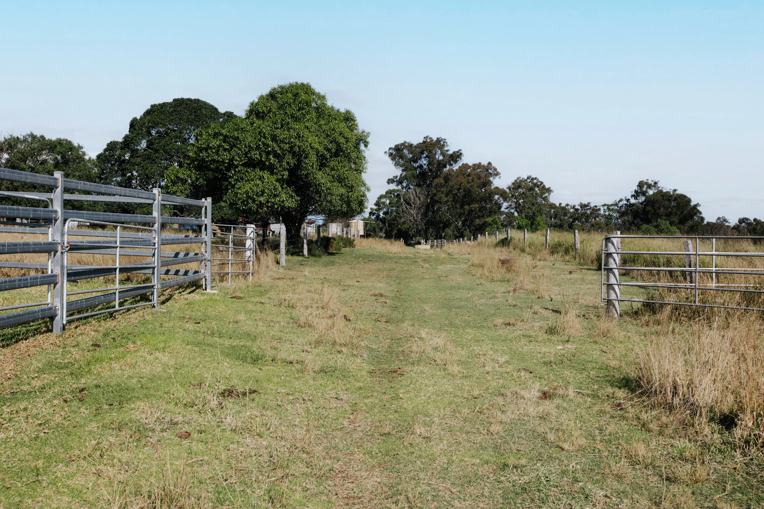 Jack van Tricht -906.jpeg