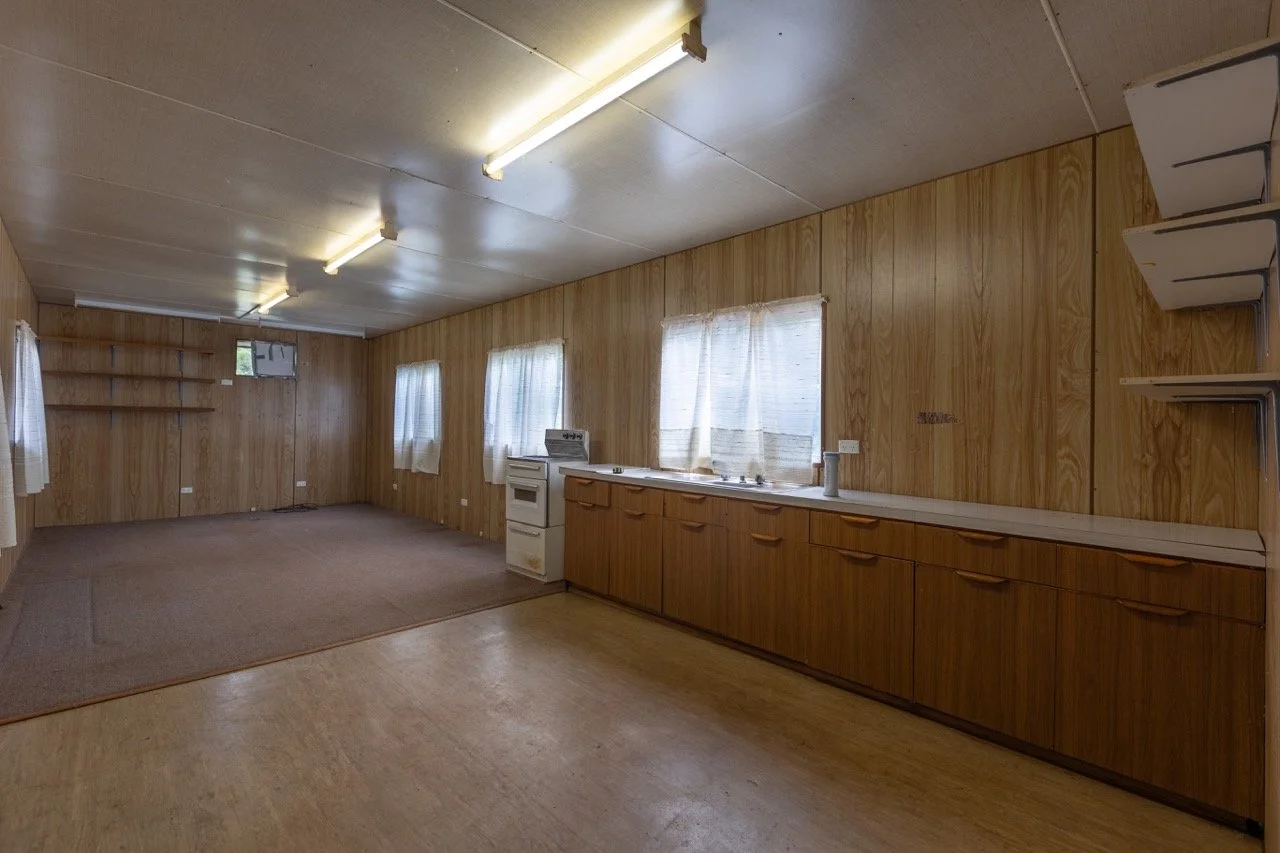 Jack van Tricht -100 Large.jpeg