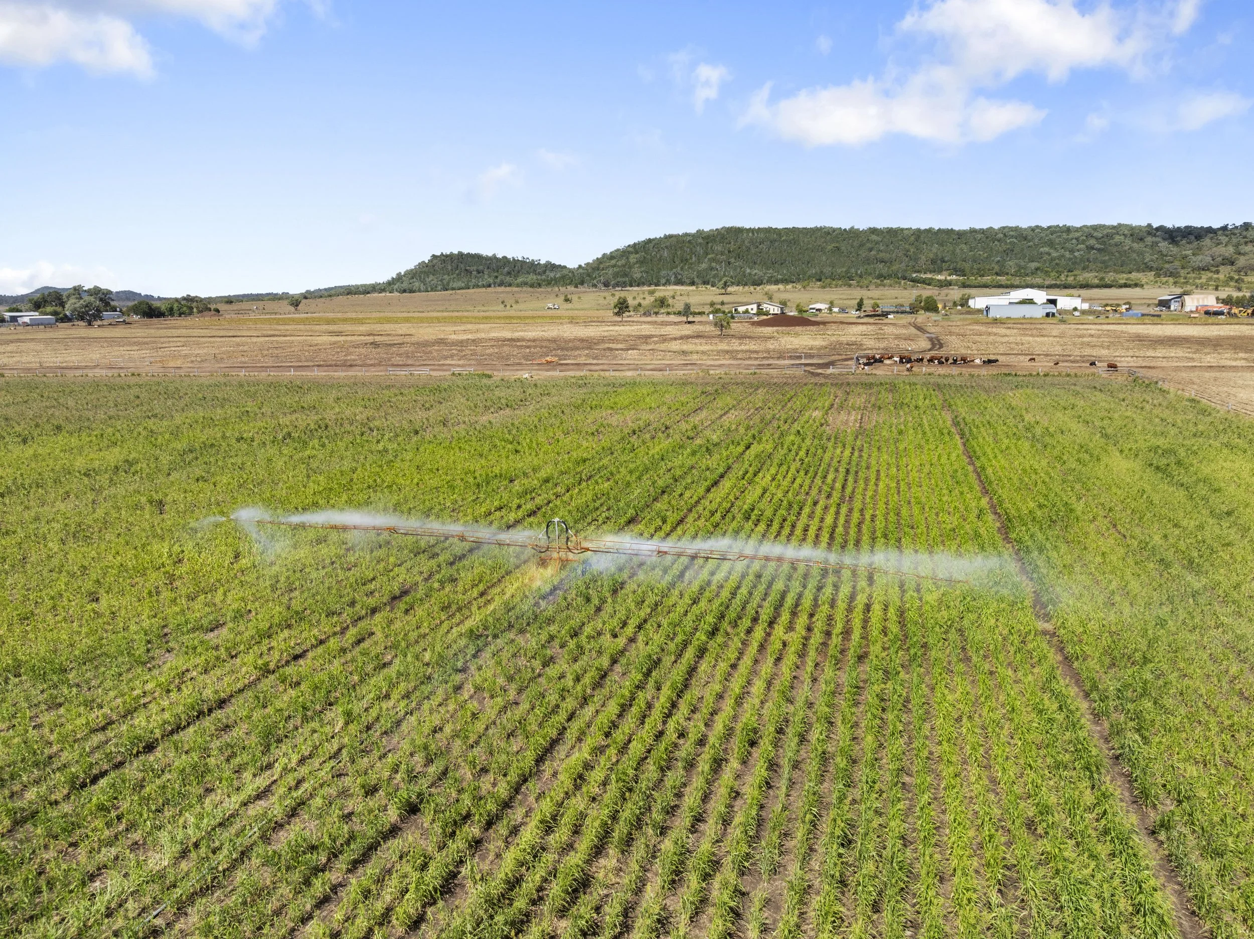 152 Acres - 'Oakey Slopes' 685 Kingsthorpe Haden Rd, Yalangur