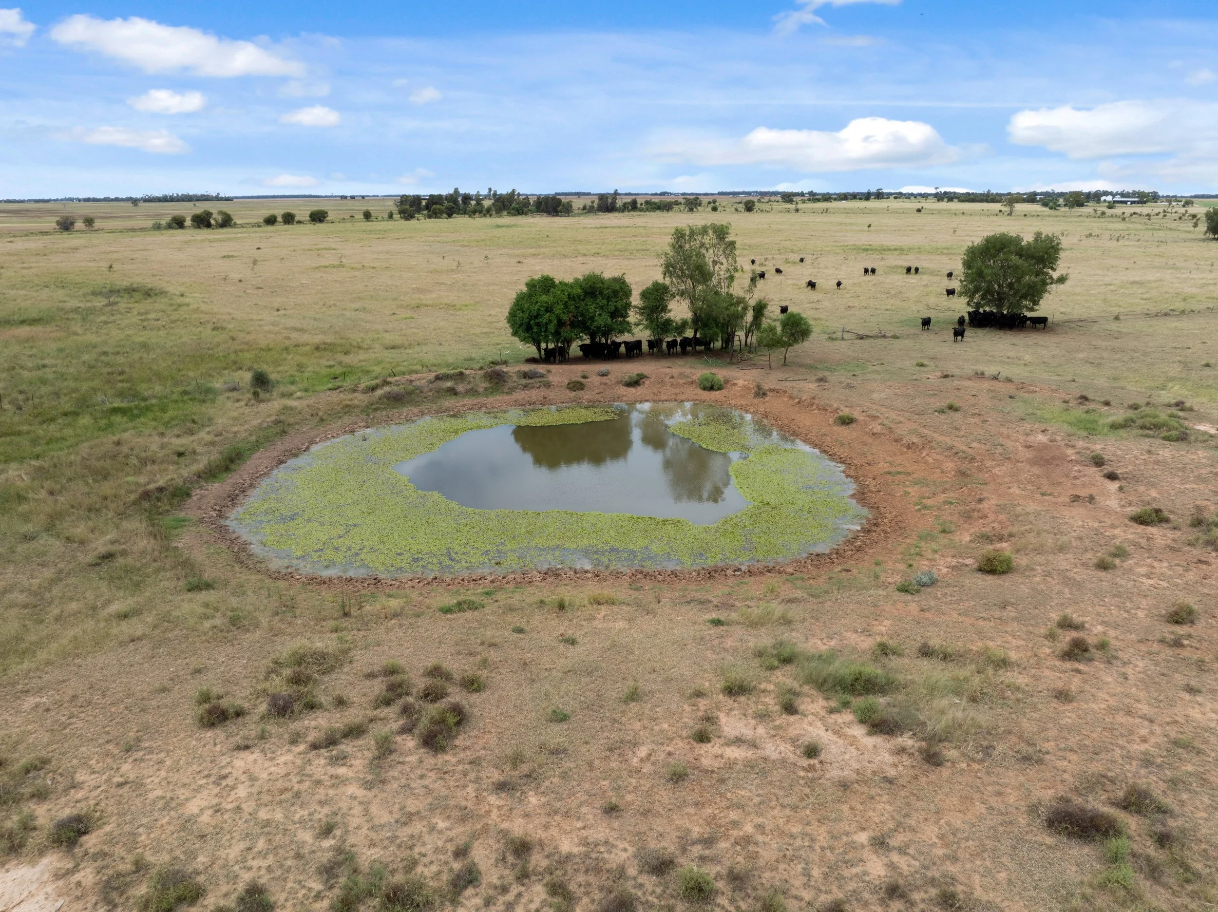 DJI_0397.JPG