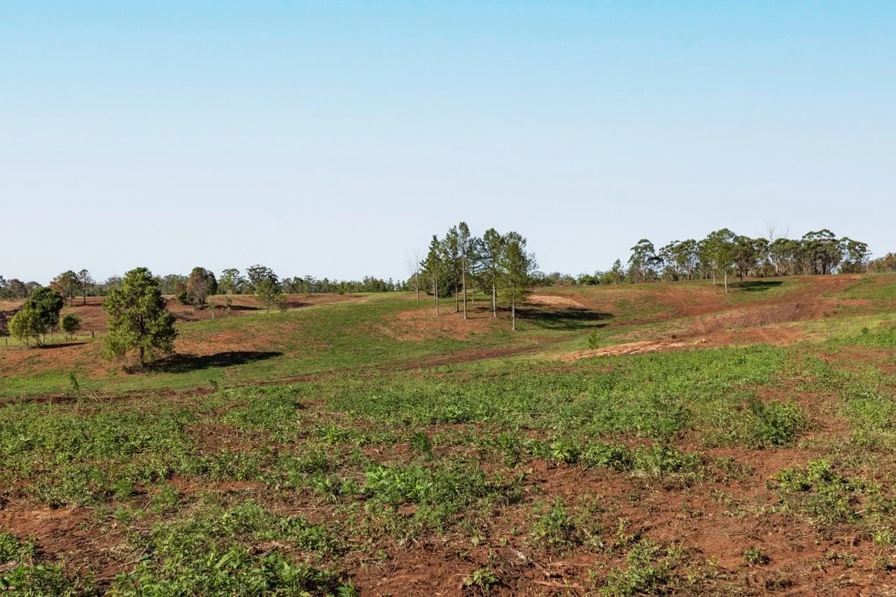 Jack van Tricht -24 Large.jpeg