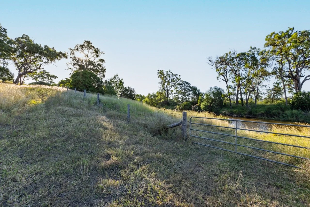 Jack van Tricht -351 Large.jpeg