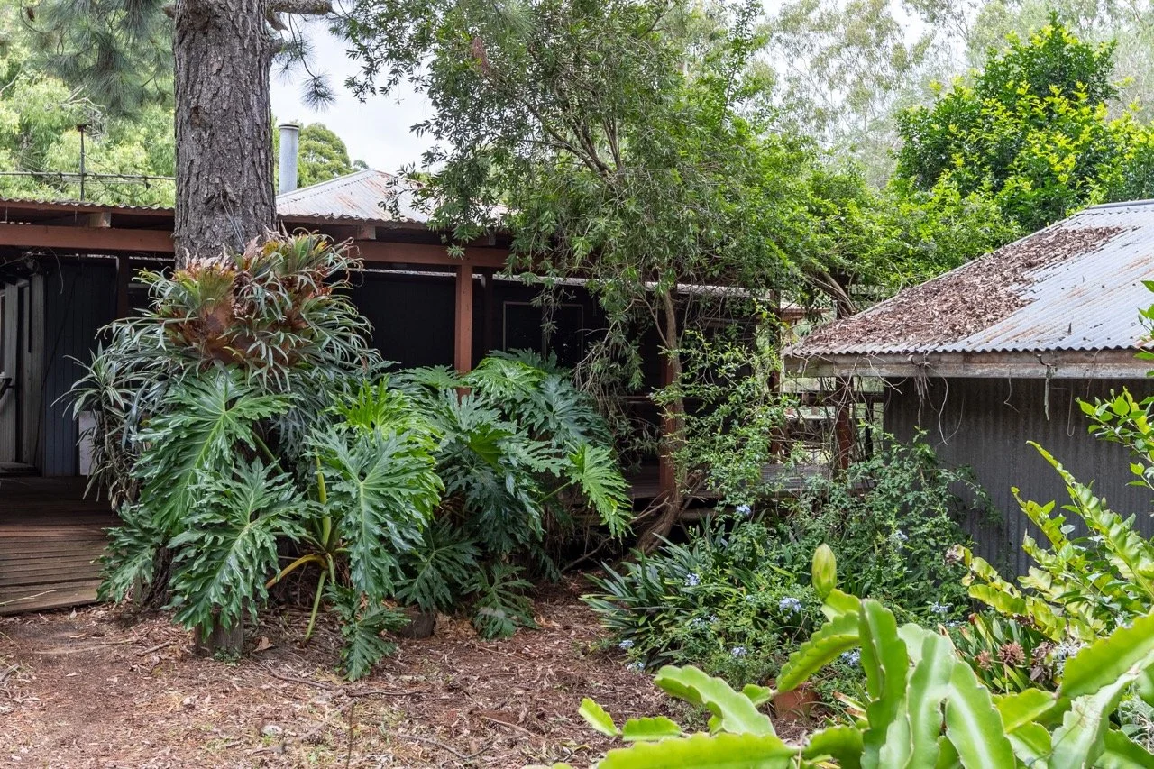 Jack van Tricht -104 Large.jpeg