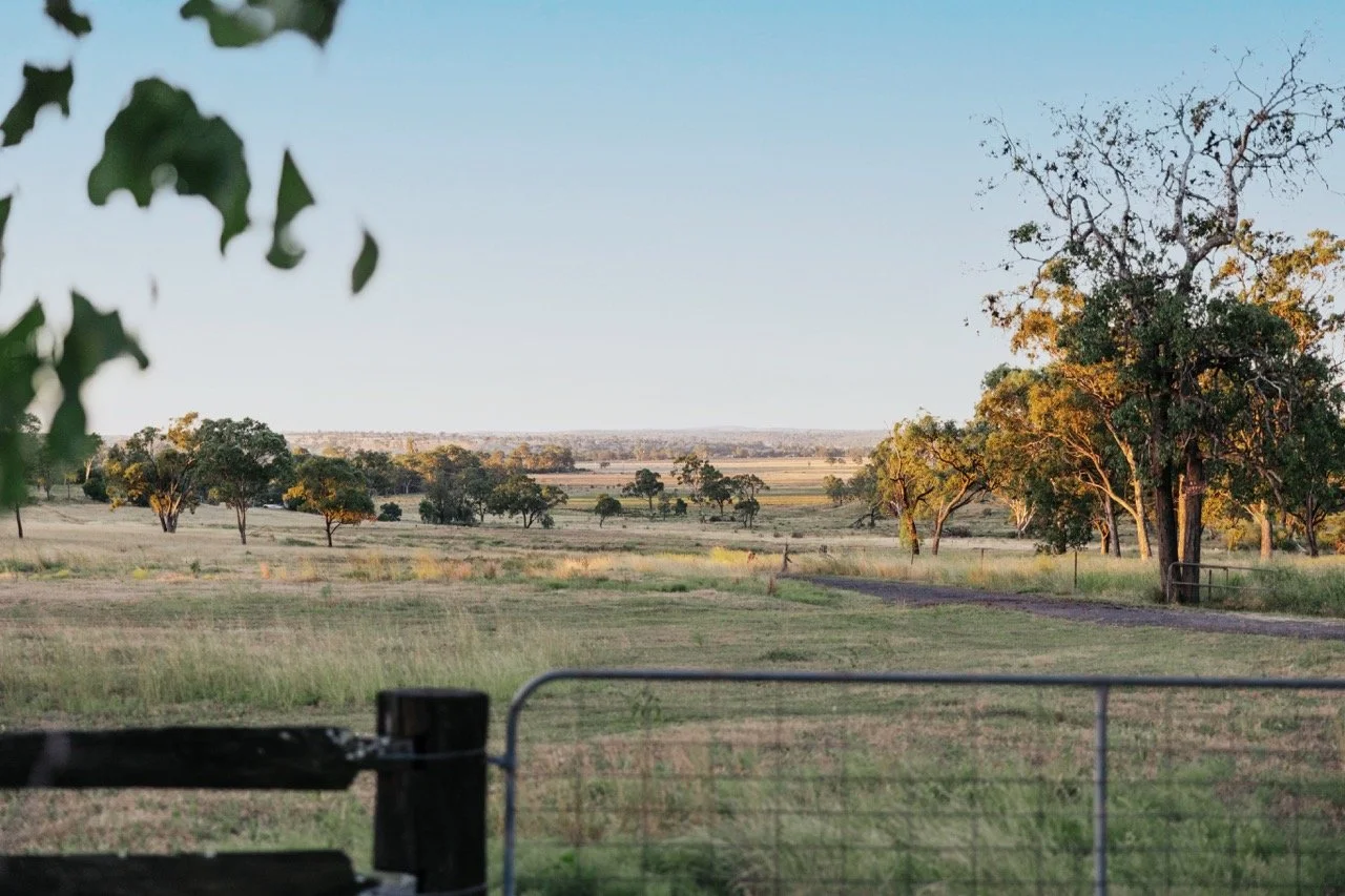 Jack van Tricht -353 Large.jpeg