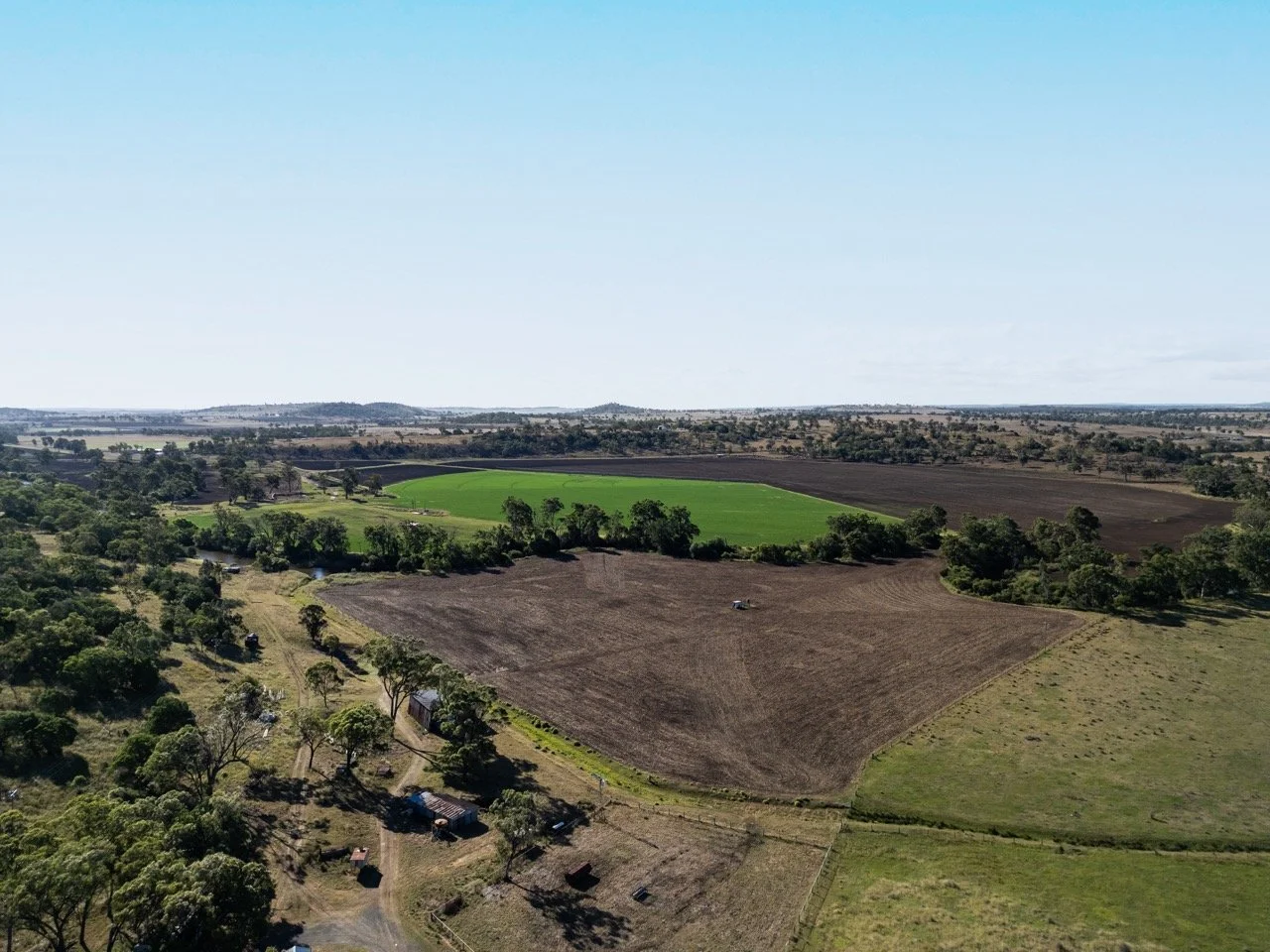 Jack van Tricht -372 Large.jpeg