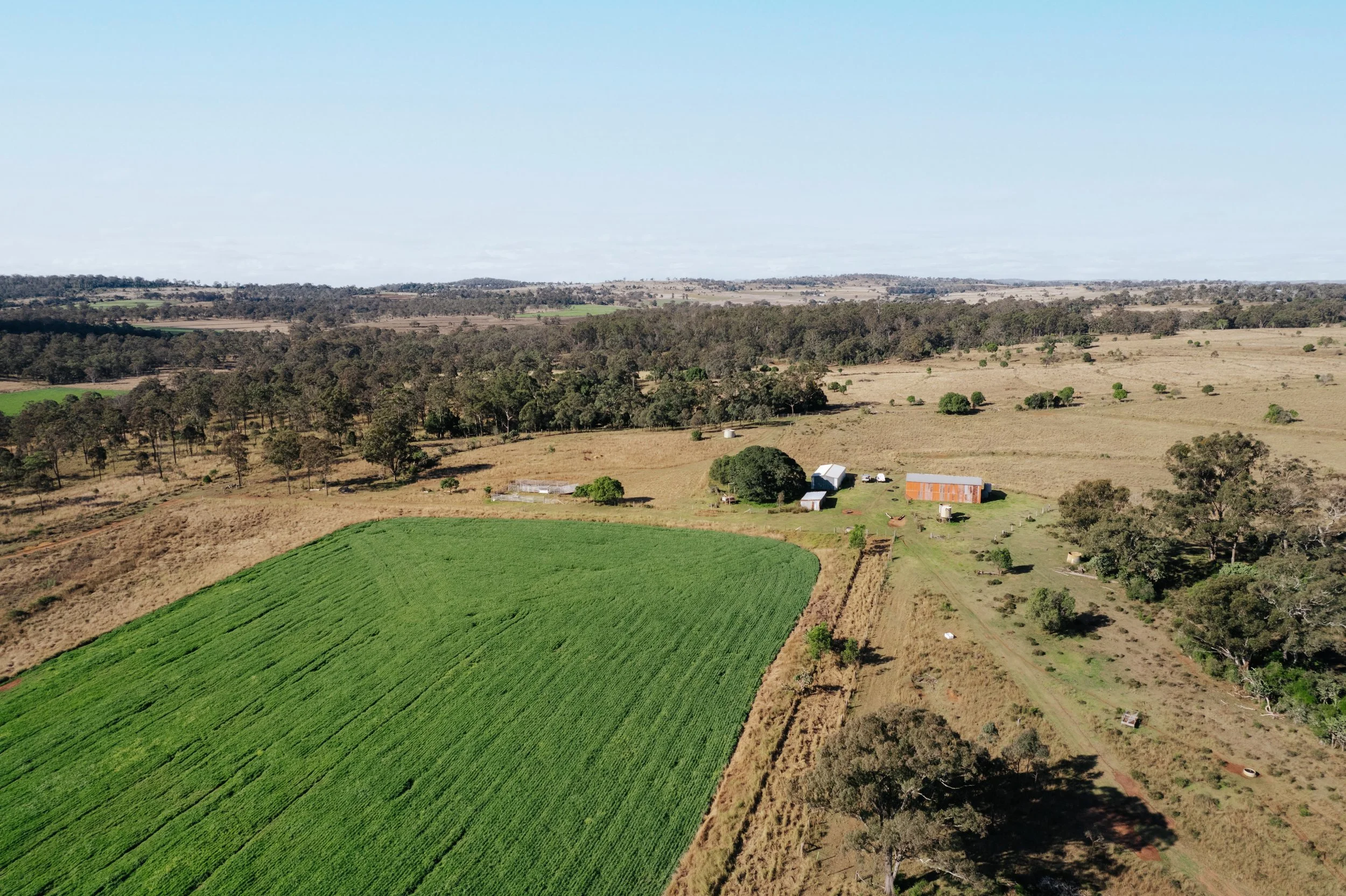 Jack van Tricht -912.jpeg