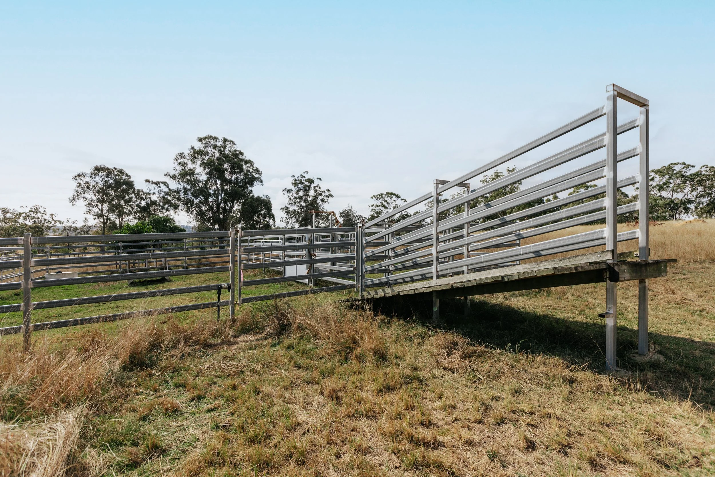 Jack van Tricht -909.jpeg