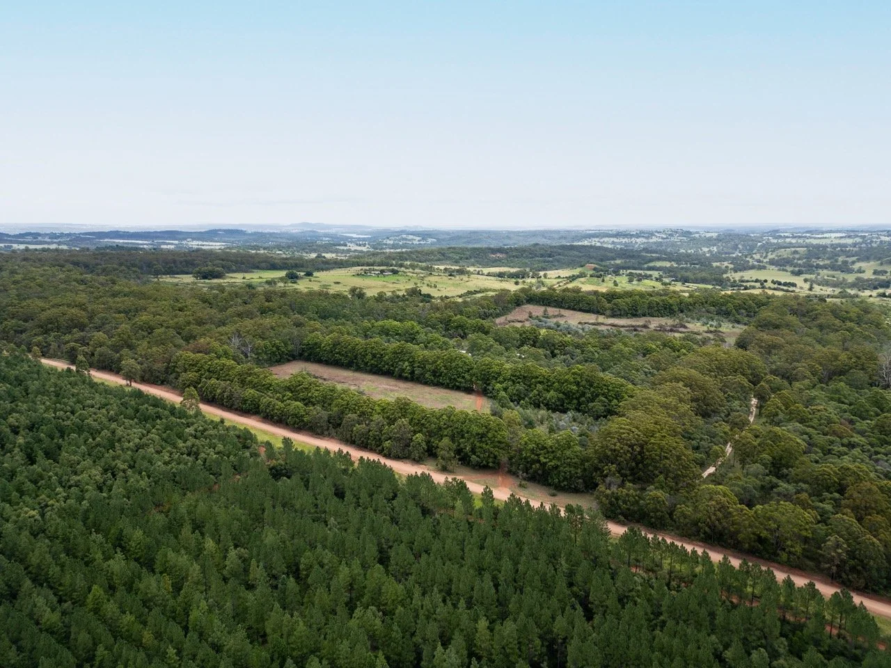 Jack van Tricht -117 Large.jpeg