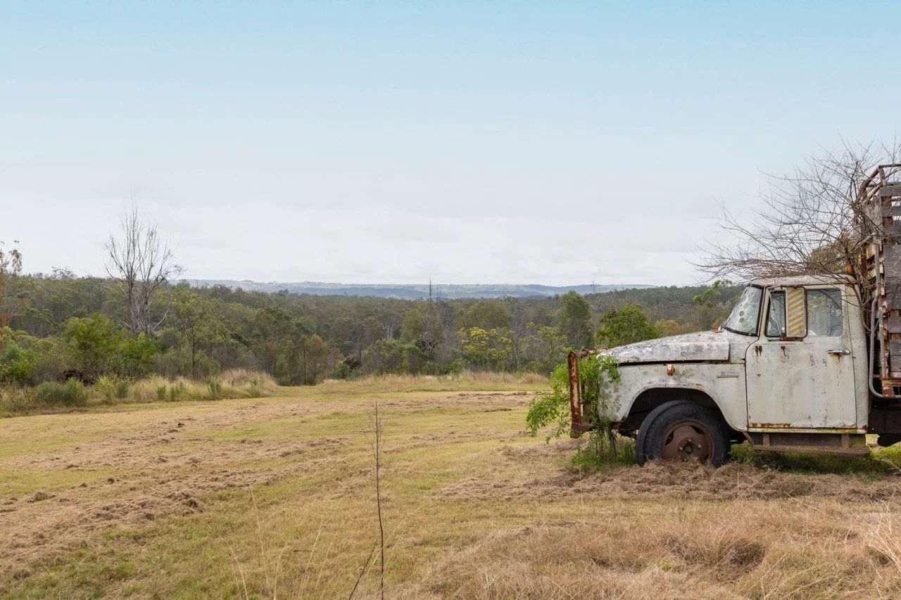 Jack van Tricht -354 Large.jpeg