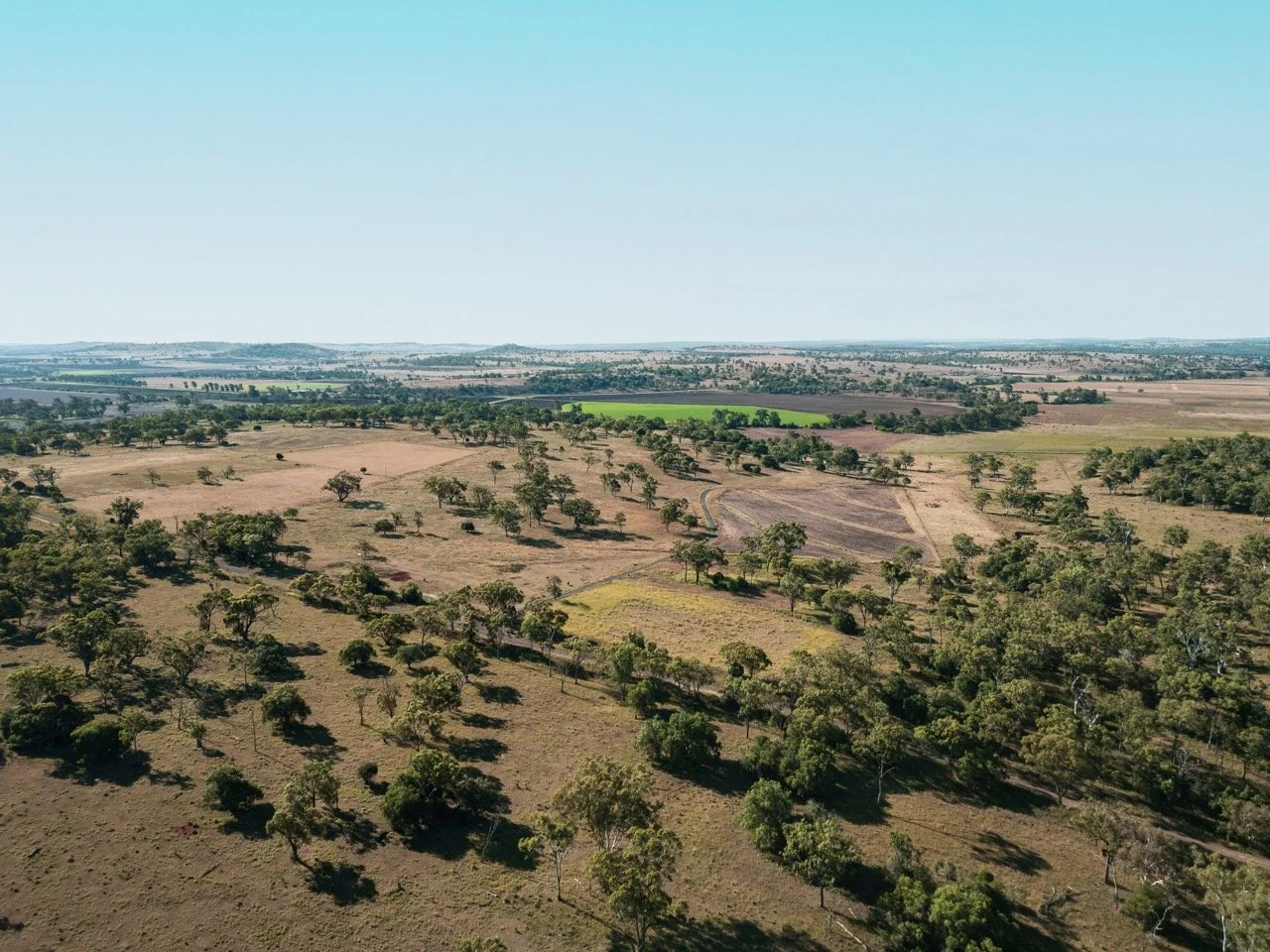 Jack van Tricht -373 Large.jpeg