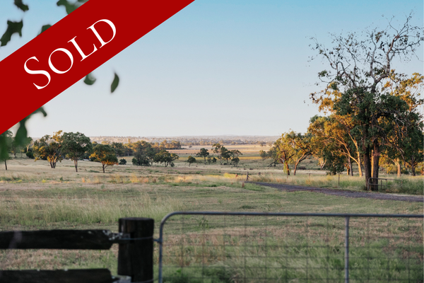 100 Acres + 4 Bedroom Home - 'Roxlee' 253 Boodua Meringandan Rd, Muniganeen