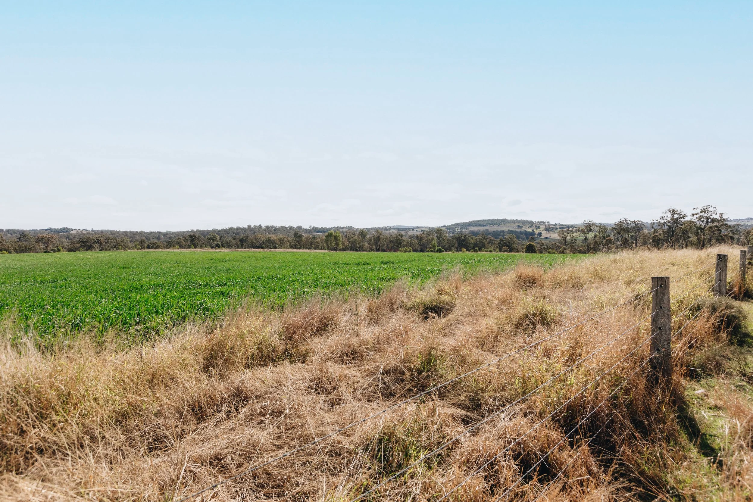 Jack van Tricht -904.jpeg