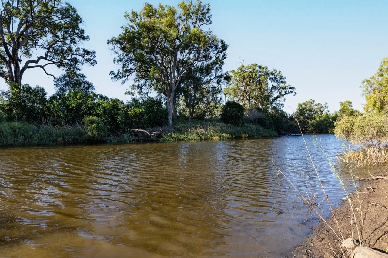 Jack van Tricht -350 Large.jpeg