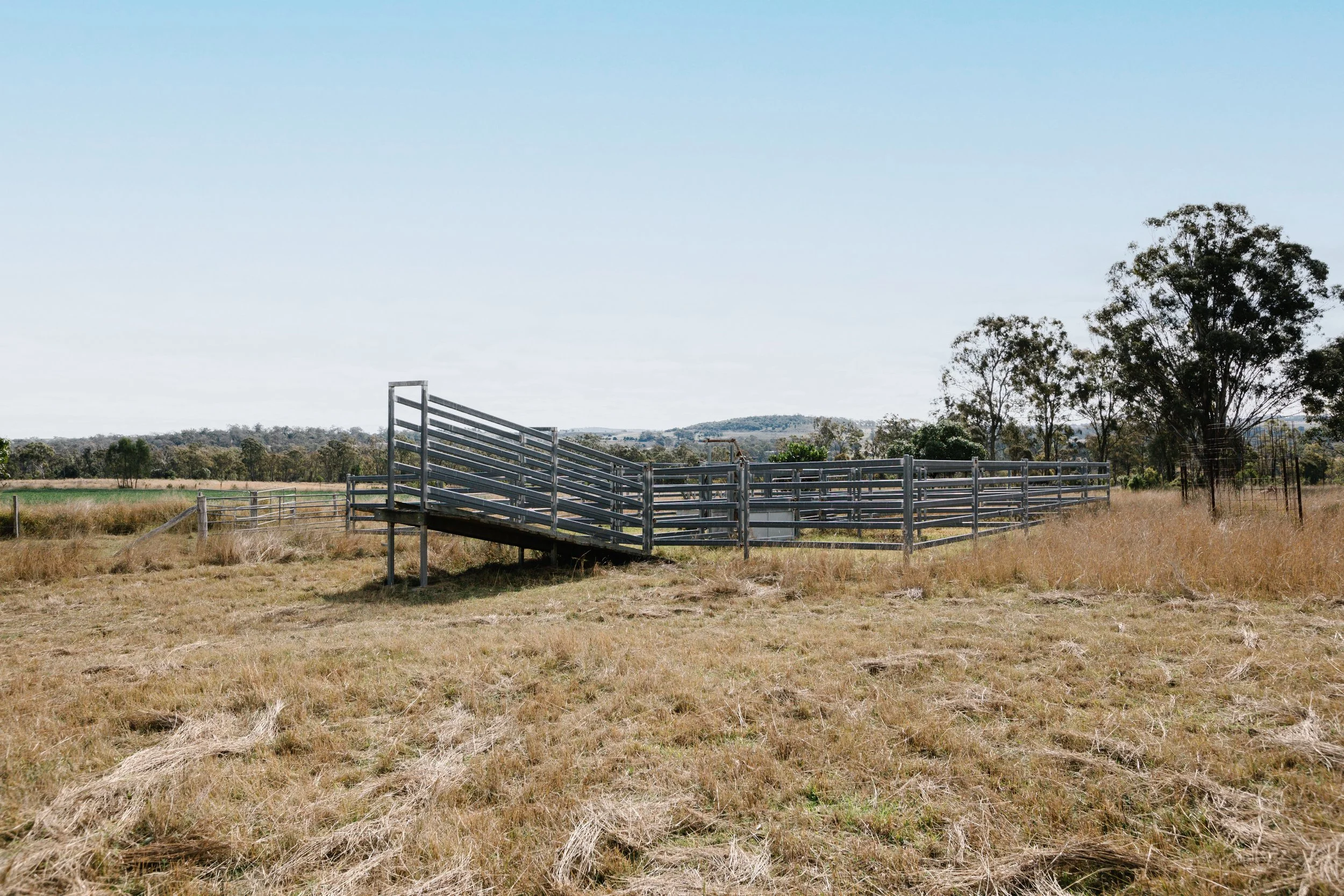 Jack van Tricht -910.jpeg