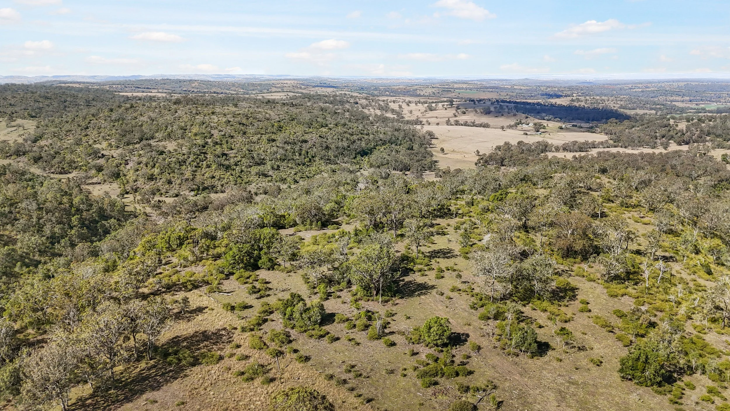 DJI_0117_D.jpg