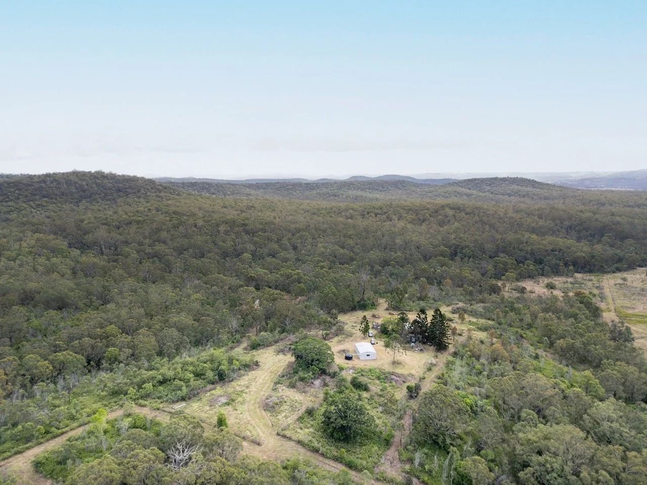 Jack van Tricht -359 Large.jpeg