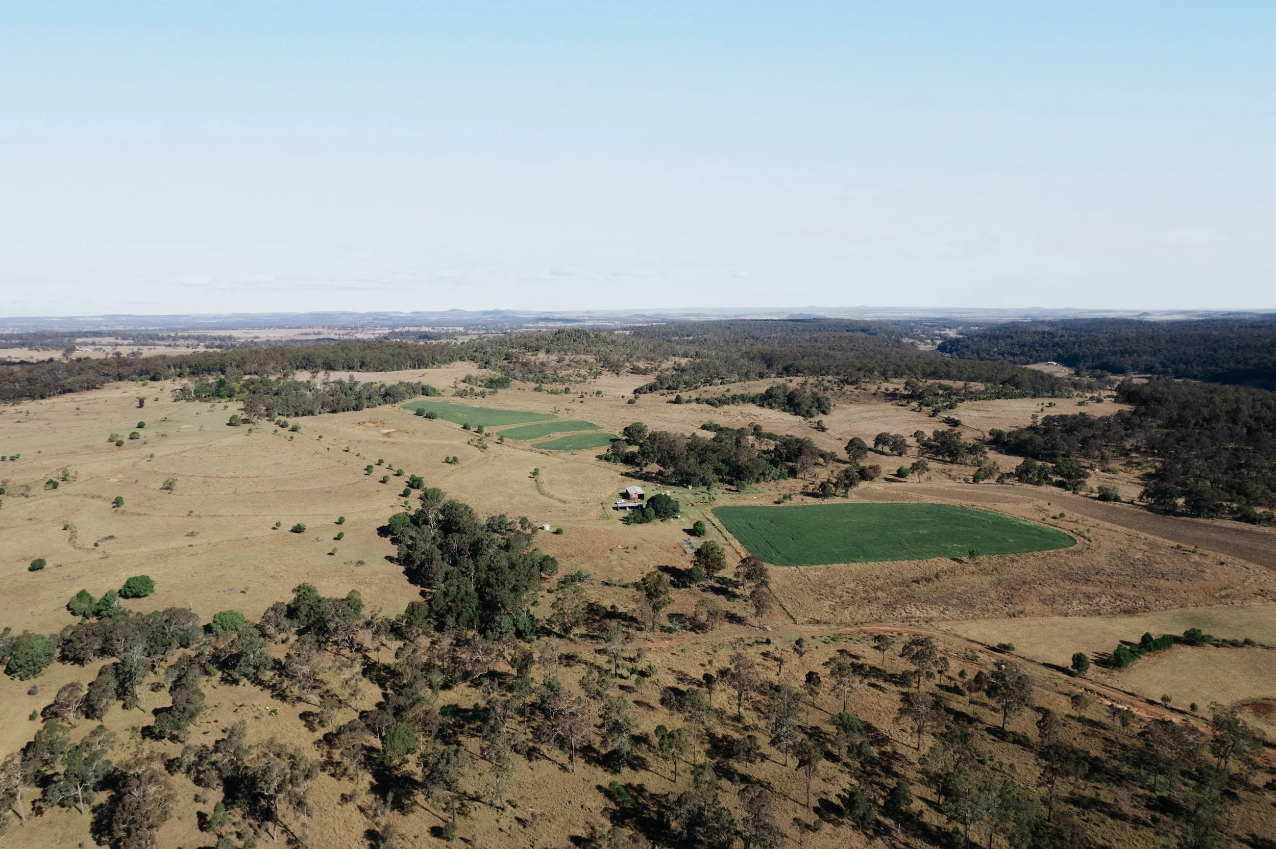 Jack van Tricht -919.jpeg