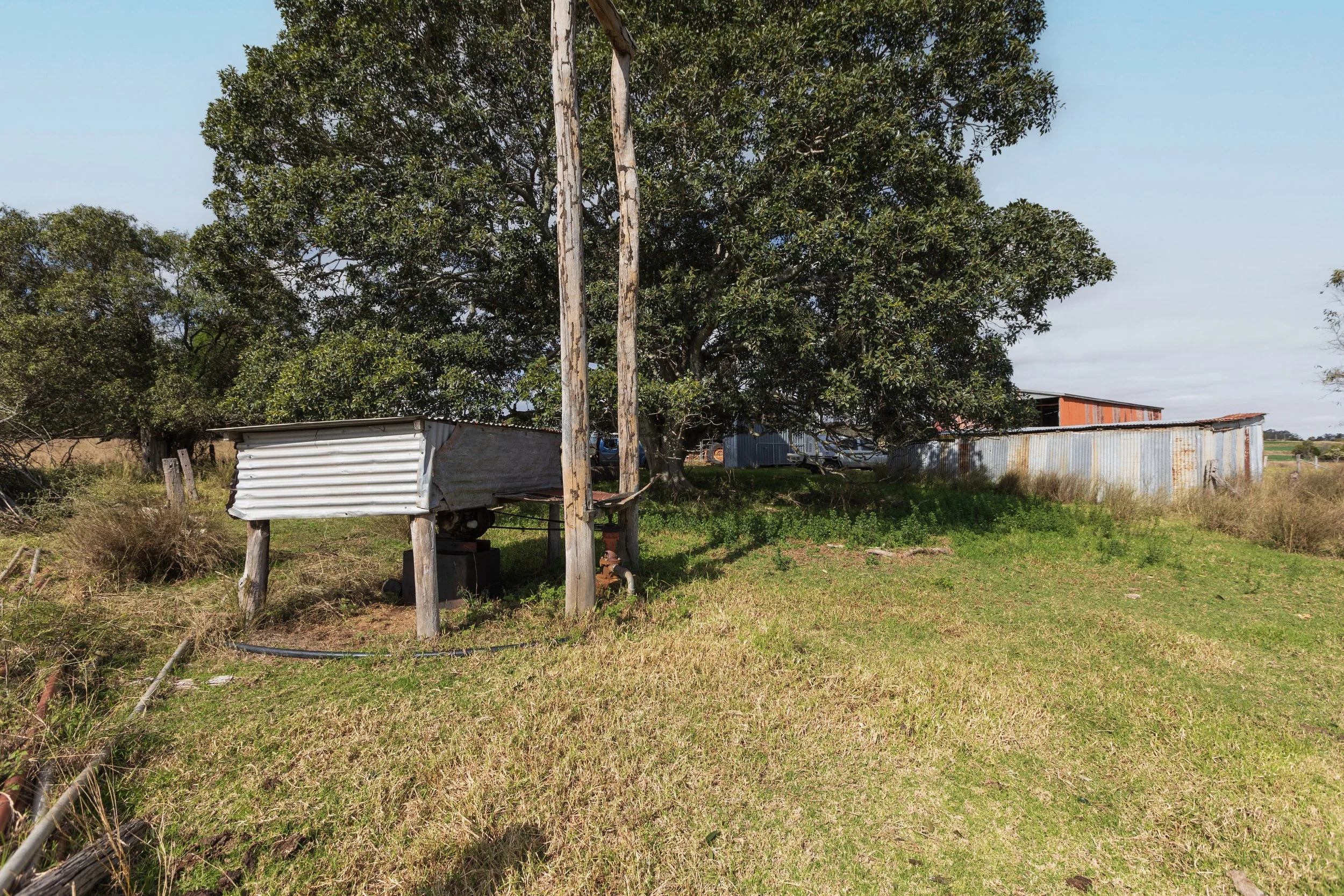 Jack van Tricht -911.jpeg