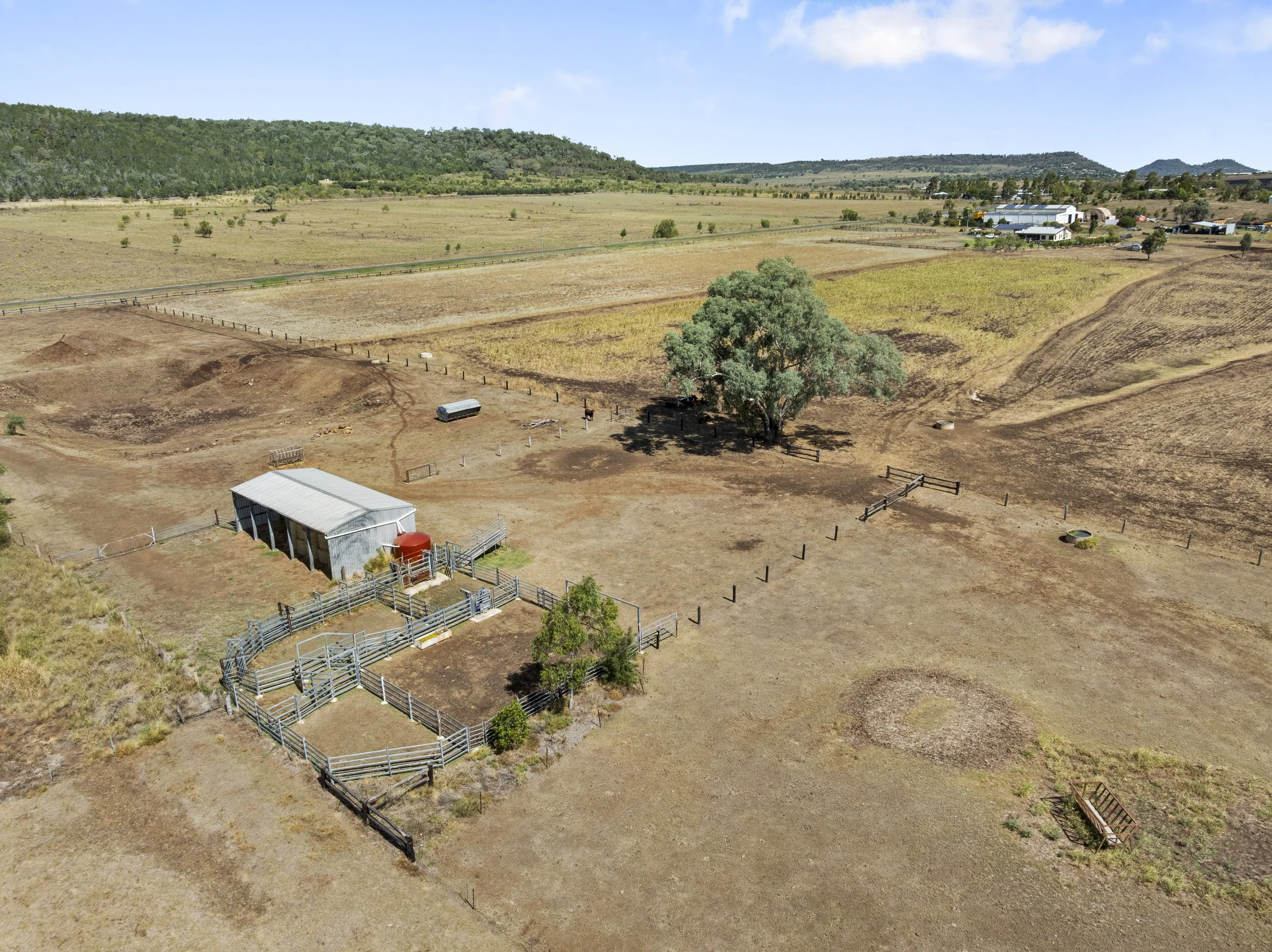 DJI_0288.jpg