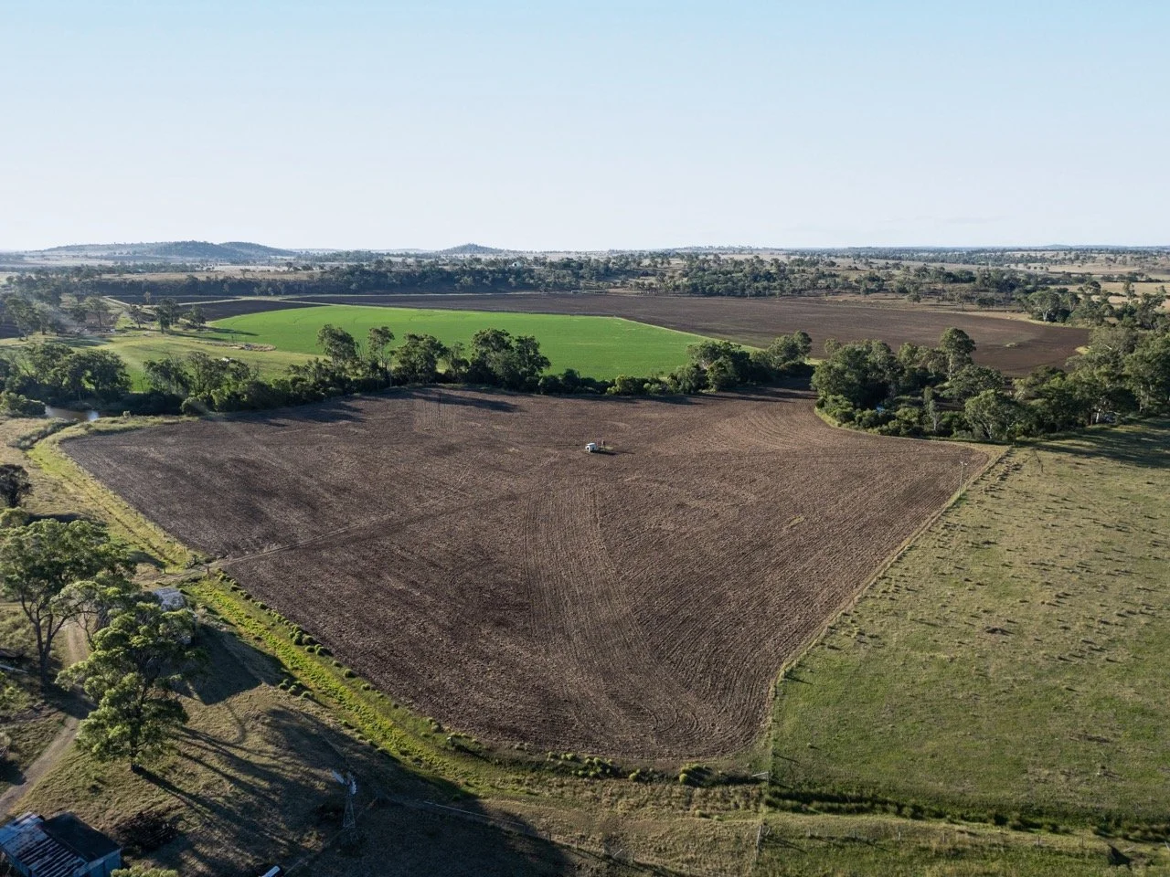 Jack van Tricht -374 Large.jpeg