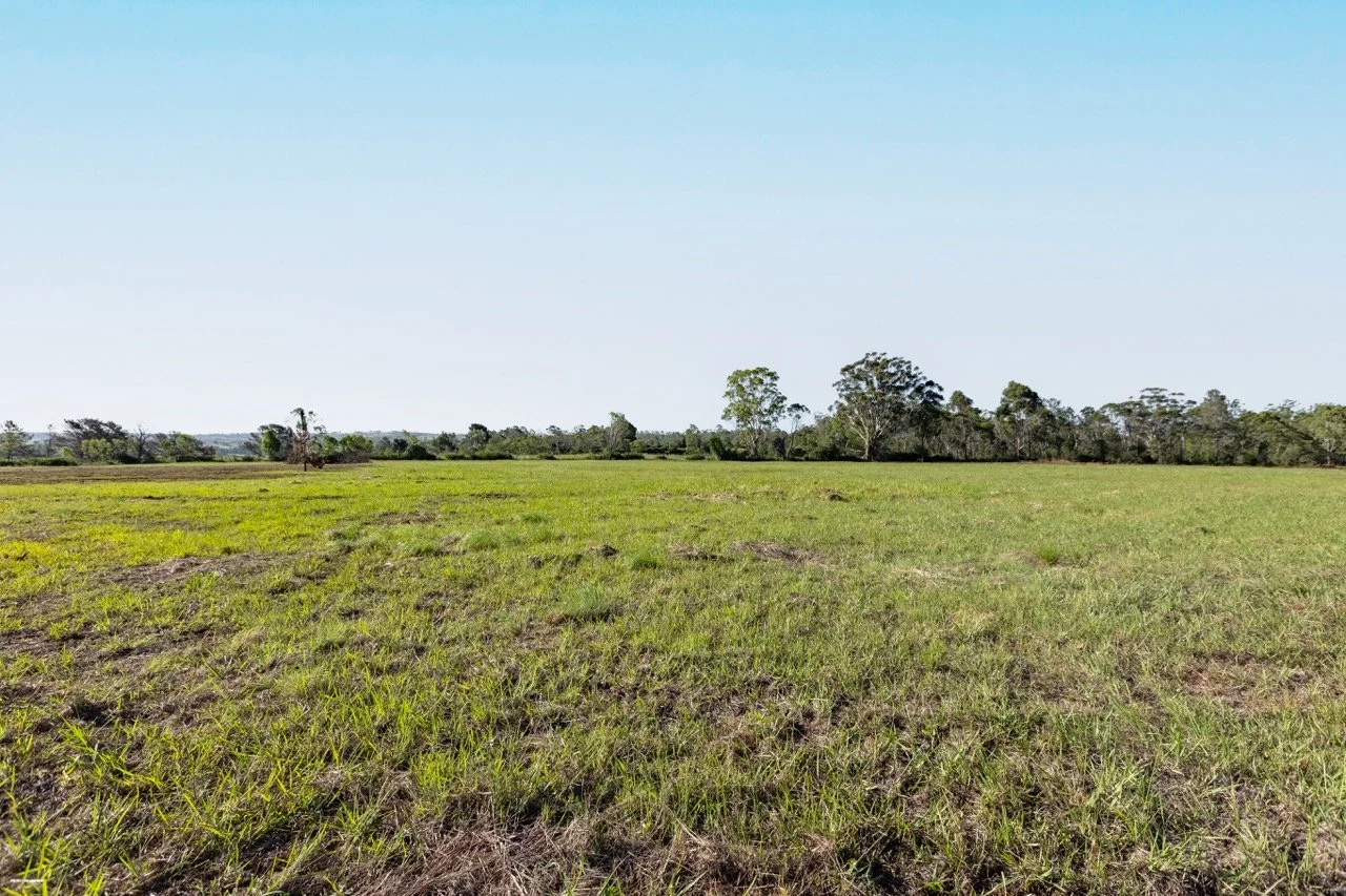 Jack van Tricht -17 Large.jpeg