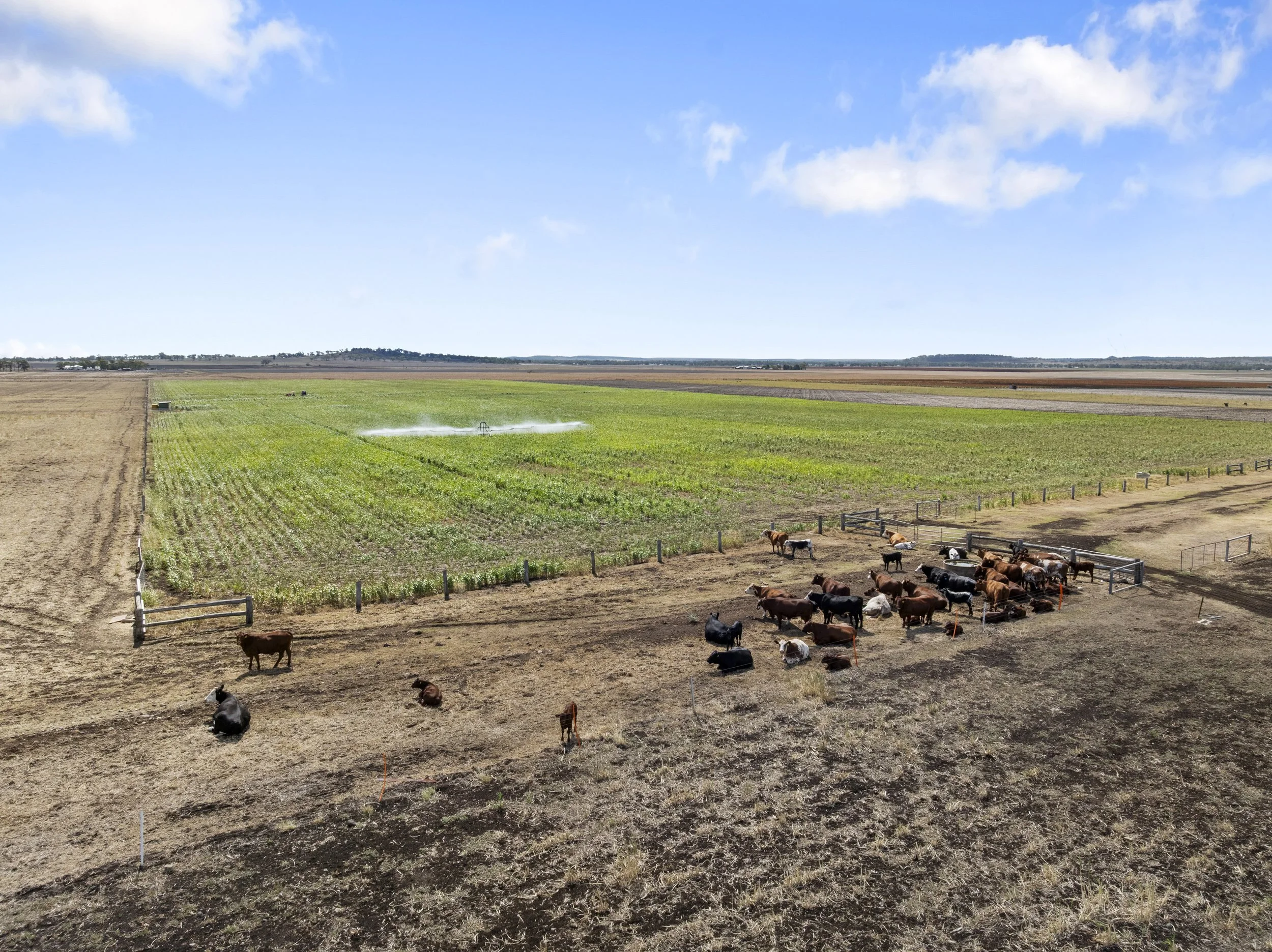 DJI_0301.jpg