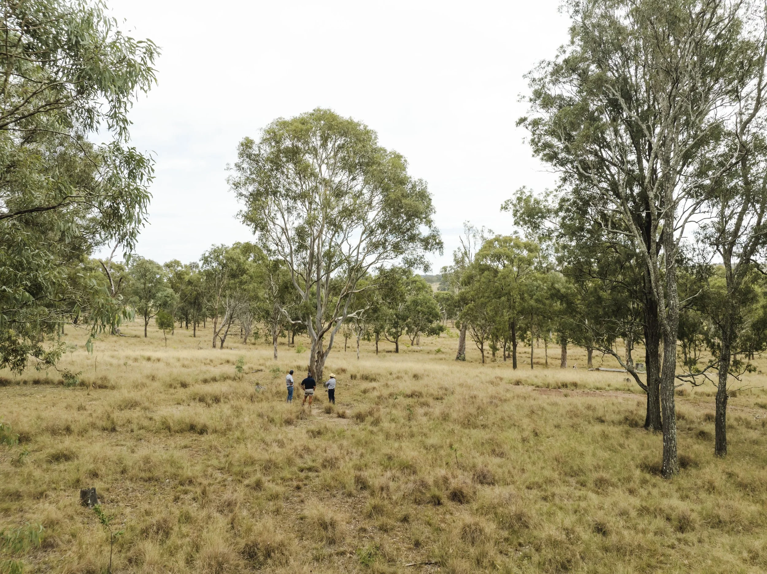 DJI_0968.jpg