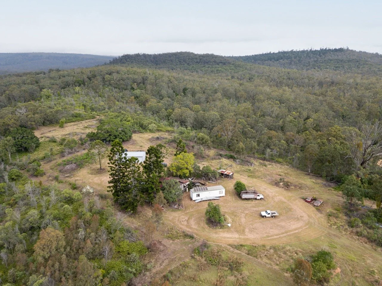 Jack van Tricht -357 Large.jpeg