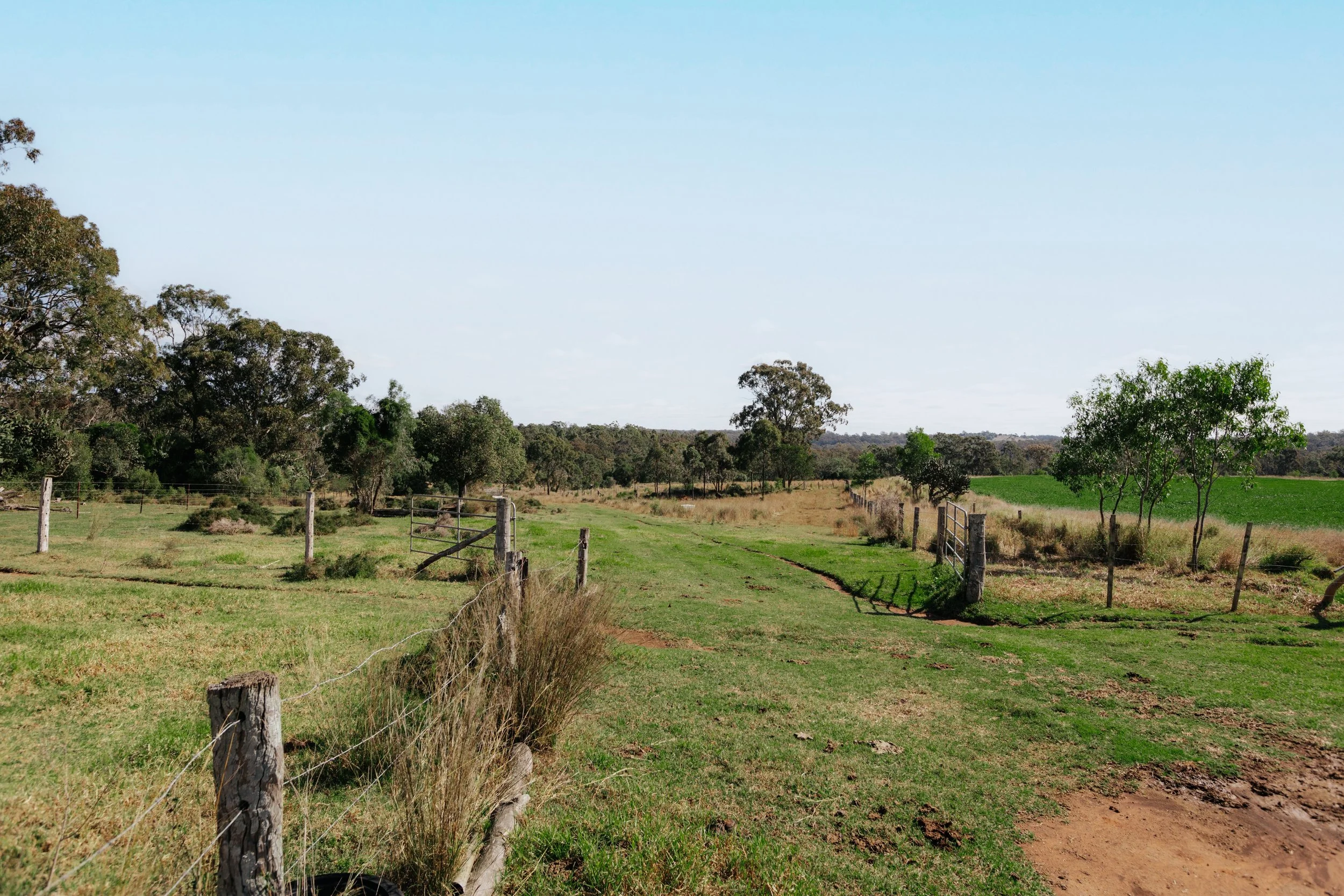 Jack van Tricht -901.jpeg