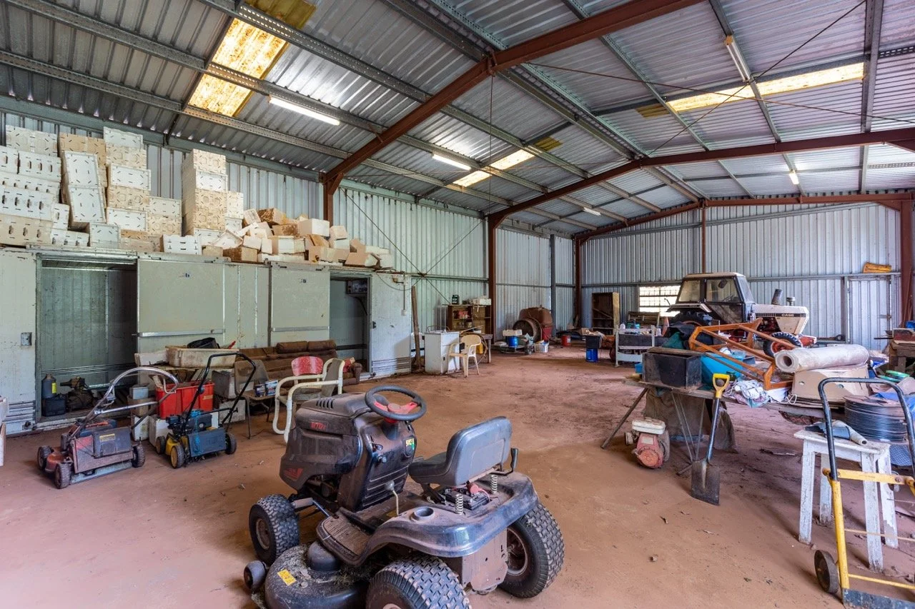 Jack van Tricht -107 Large.jpeg