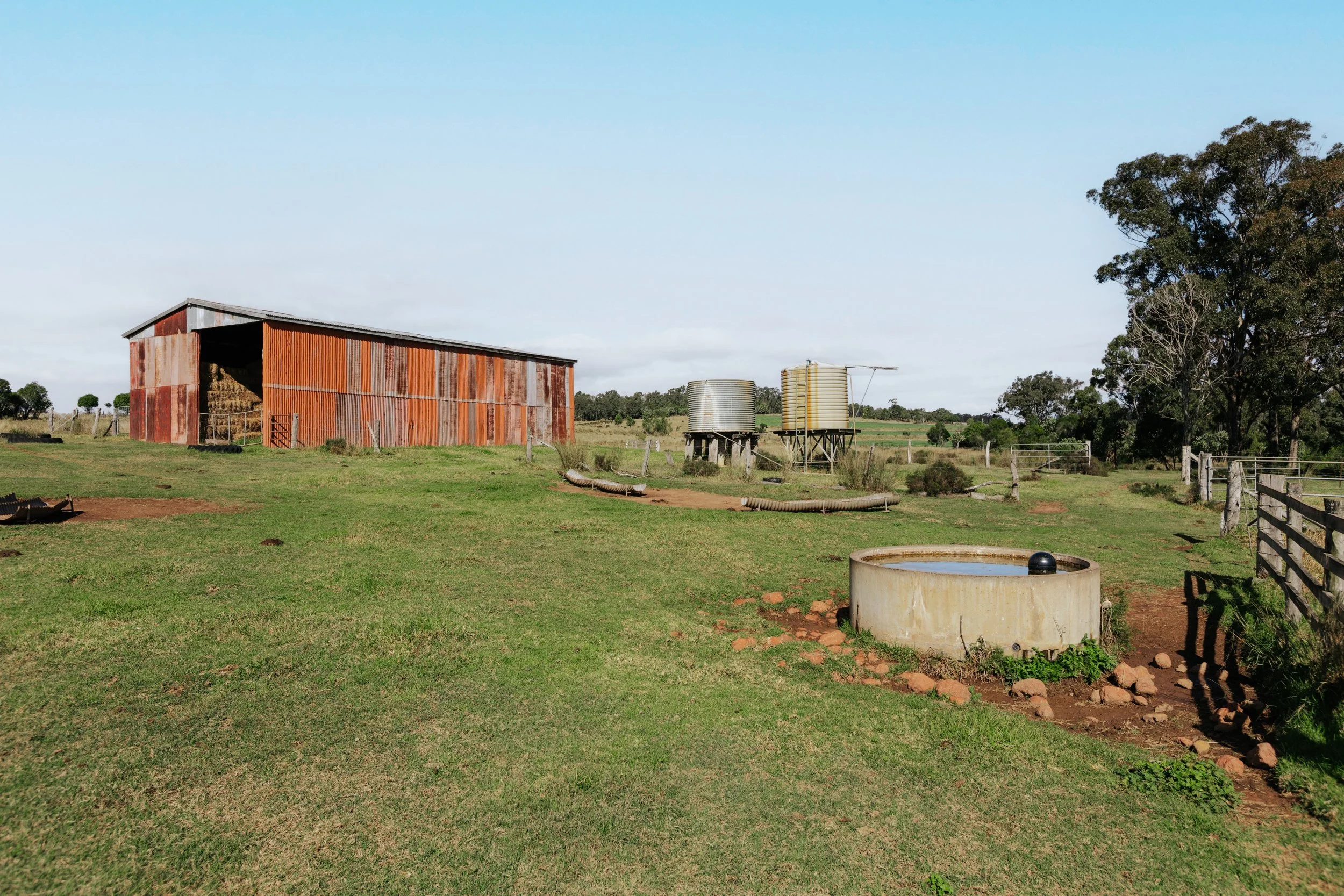 Jack van Tricht -903.jpeg