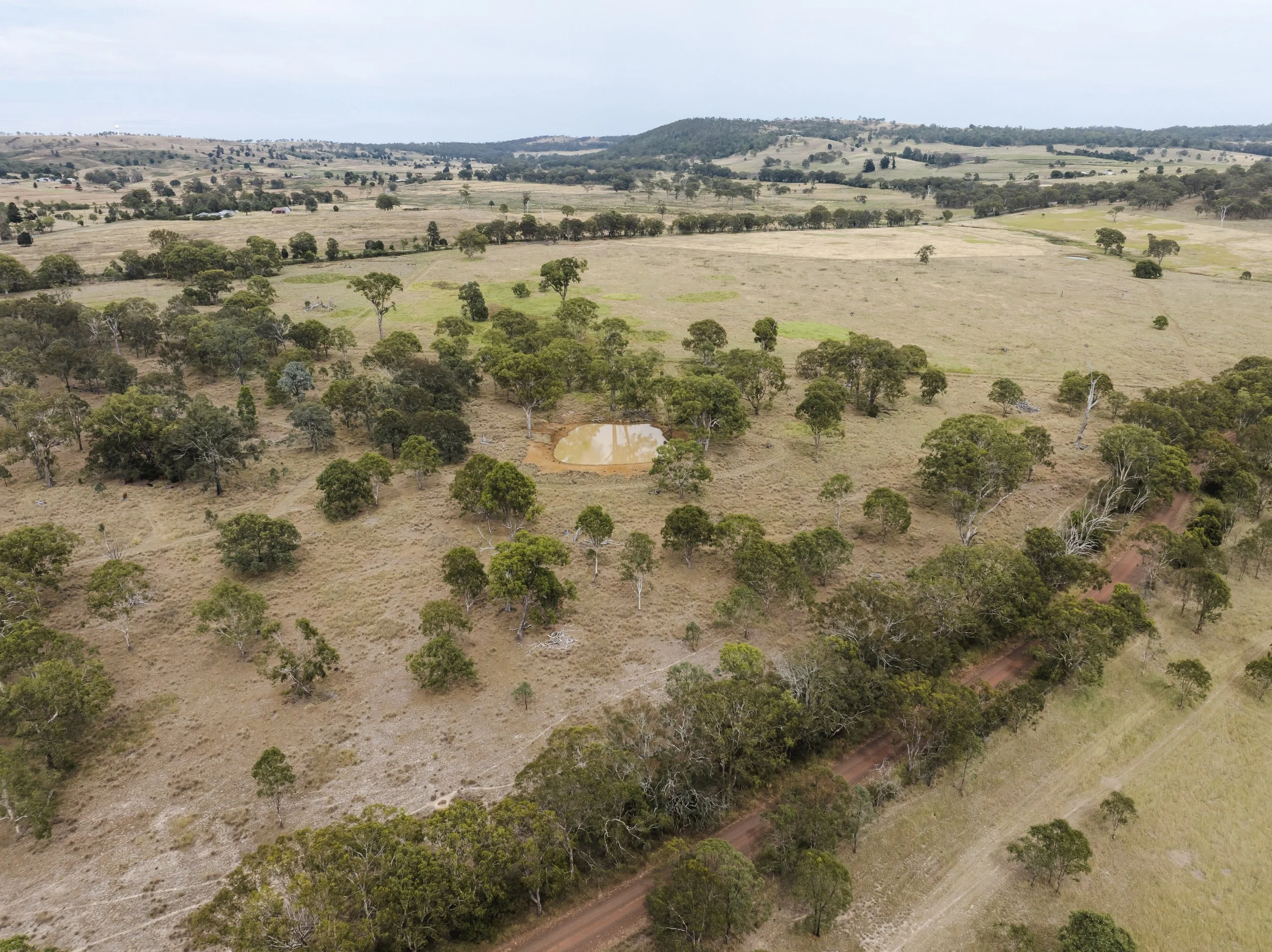 DJI_0962.jpg