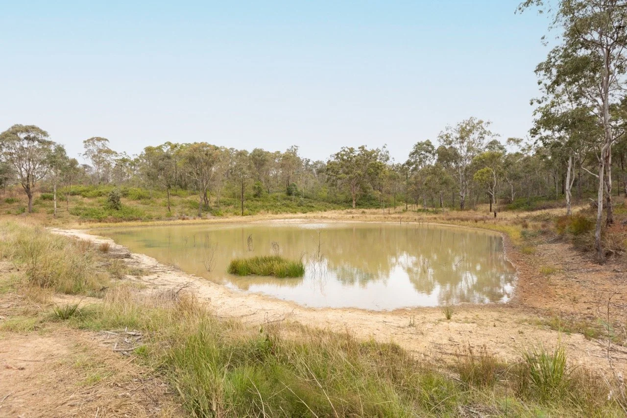 Jack van Tricht -363 Large.jpeg