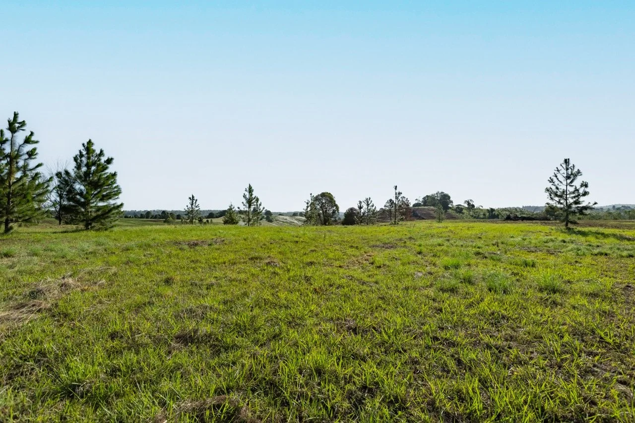 Jack van Tricht -18 Large.jpeg