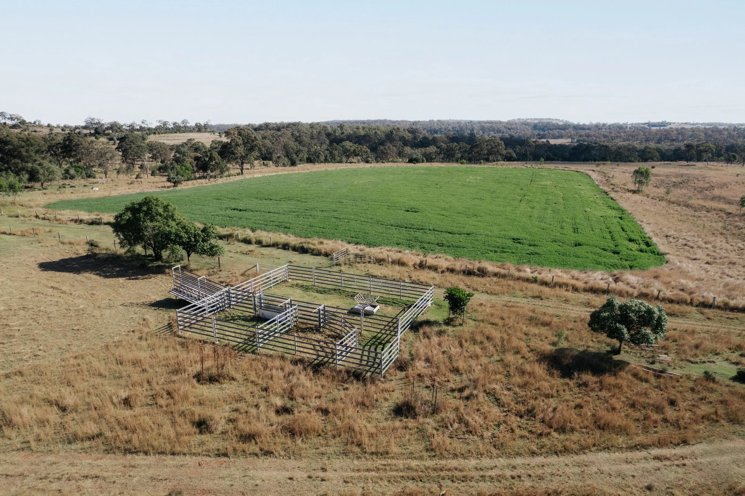 Jack van Tricht -918.jpeg