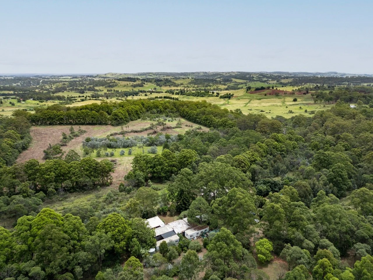 Jack van Tricht -116 Large.jpeg