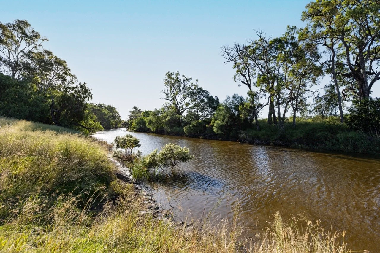 Jack van Tricht -349 Large.jpeg