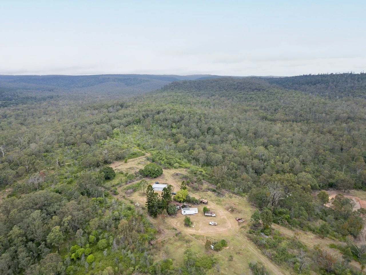 Jack van Tricht -360 Large.jpeg