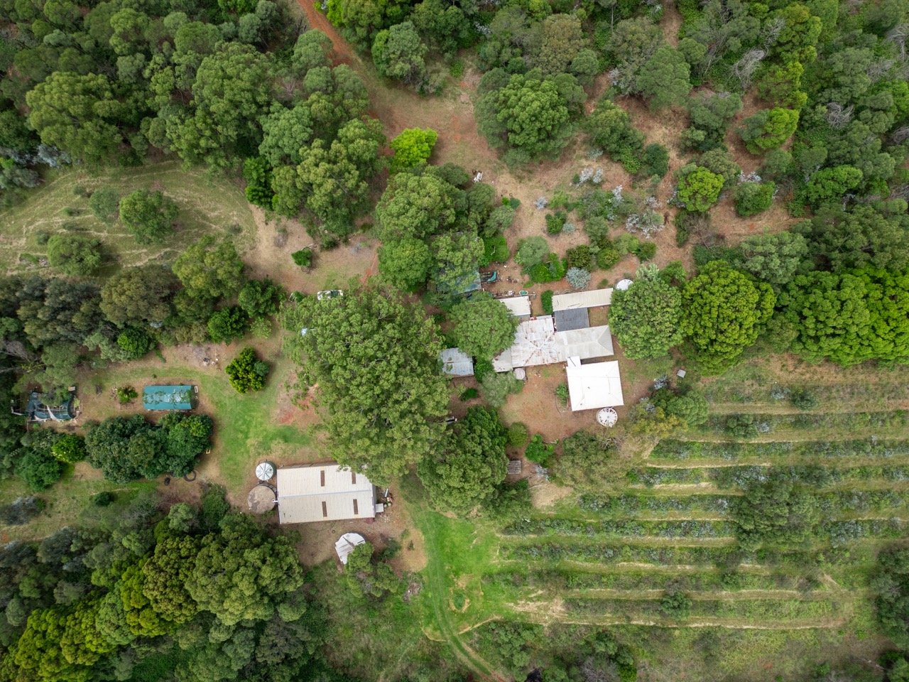 50 Acres 232 Merritts Creek Rd, Pechey — Hartwig & Bliss